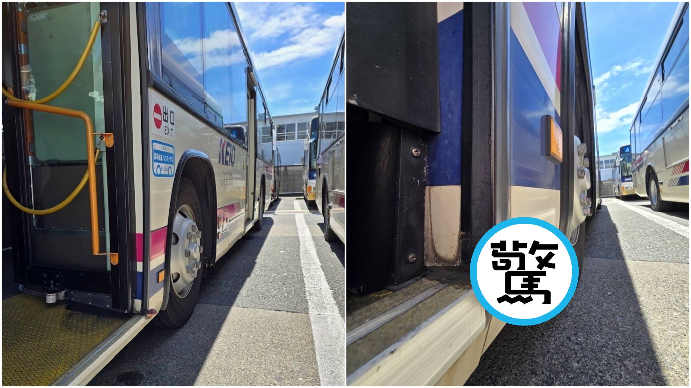 日本公車竟外長出一朵生命力驚人的蘑菇。(翻攝X@keiobus_info)