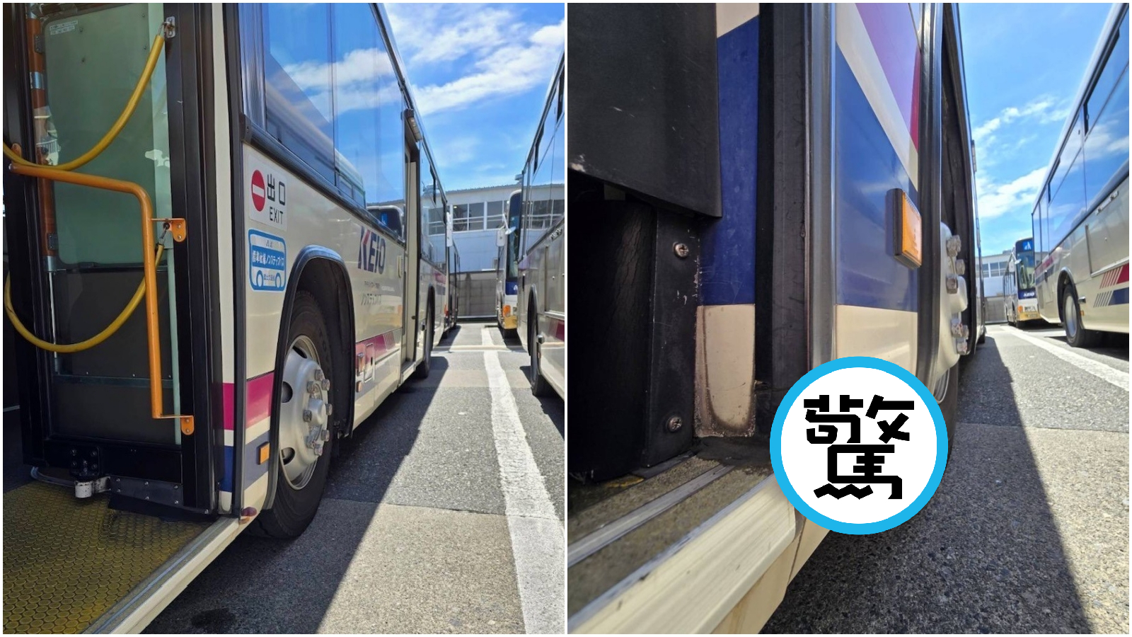 日本公車竟外長出一朵生命力驚人的蘑菇。（翻攝X@keiobus_info）