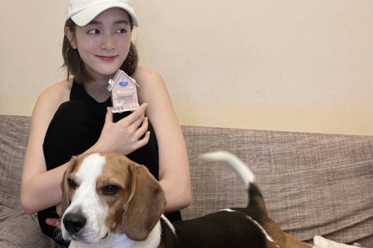 王淨常被家裏狗狗氣半死。（翻攝自王淨IG） 