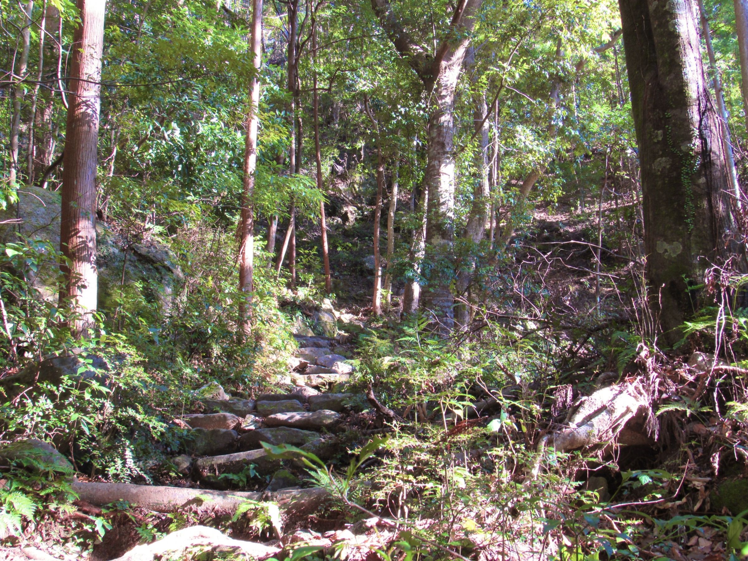 資深搜救人員透露,曾尋獲在山區失蹤的登山客,對方告知某個人一直要他往偏僻荒涼的地方走去,宛如紅衣小女孩事件一般靈異。(示意圖,photoAC)