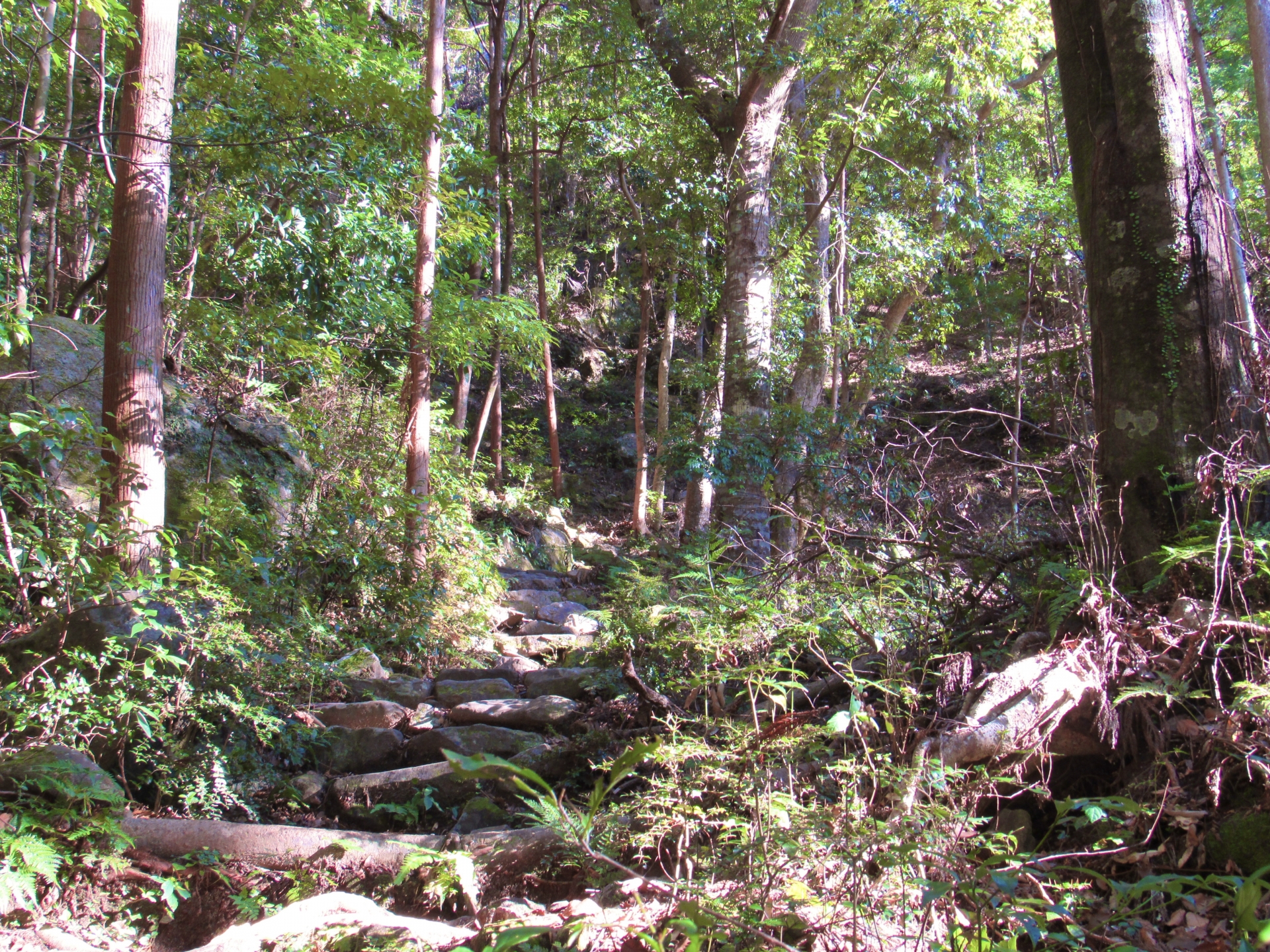 資深搜救人員透露，曾尋獲在山區失蹤的登山客，對方告知某個人一直要他往偏僻荒涼的地方走去，宛如紅衣小女孩事件一般靈異。（示意圖，photoAC）