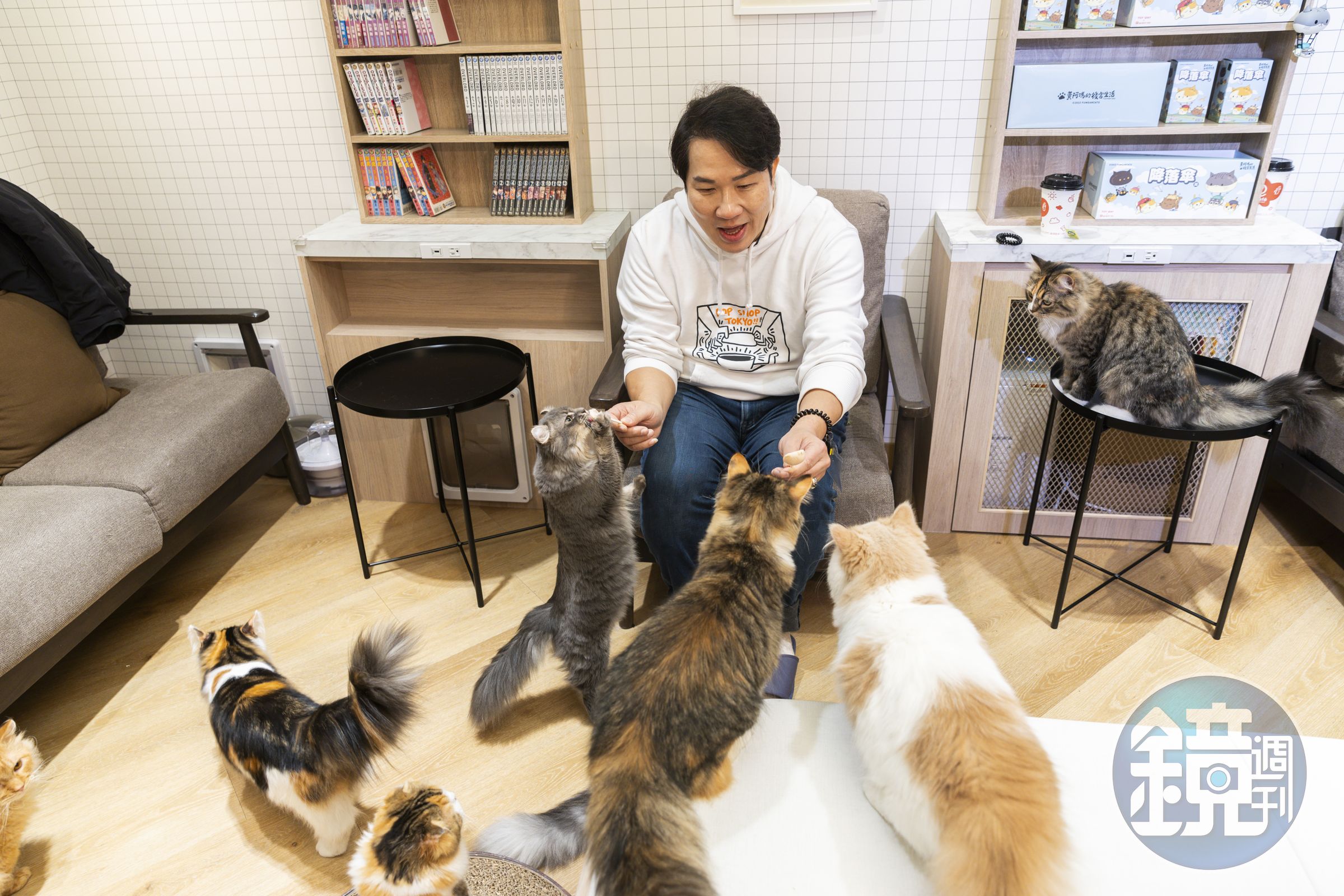 「Cat Café MOCHA」店裡有17隻貓,本來是狗派的劉爾金,現在家裡也養貓,正式成了鏟屎官。