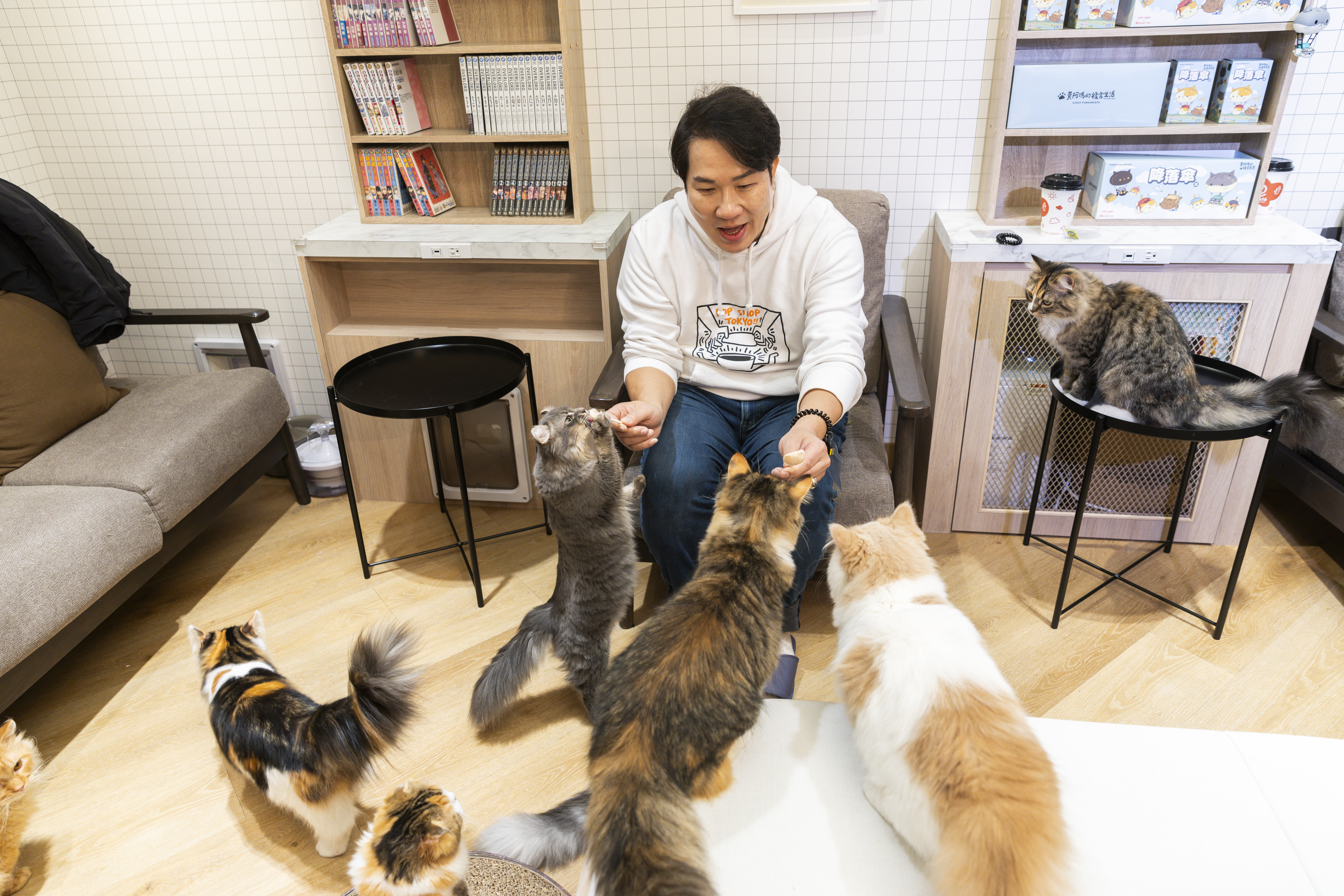 「Cat Café MOCHA」店裡有17隻貓，本來是狗派的劉爾金，現在家裡也養貓，正式成了鏟屎官。