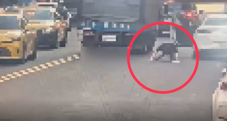 男子酒駕接女友下班體力不支「滾下車」,跪趴路中央差點被撞。(警方提供)