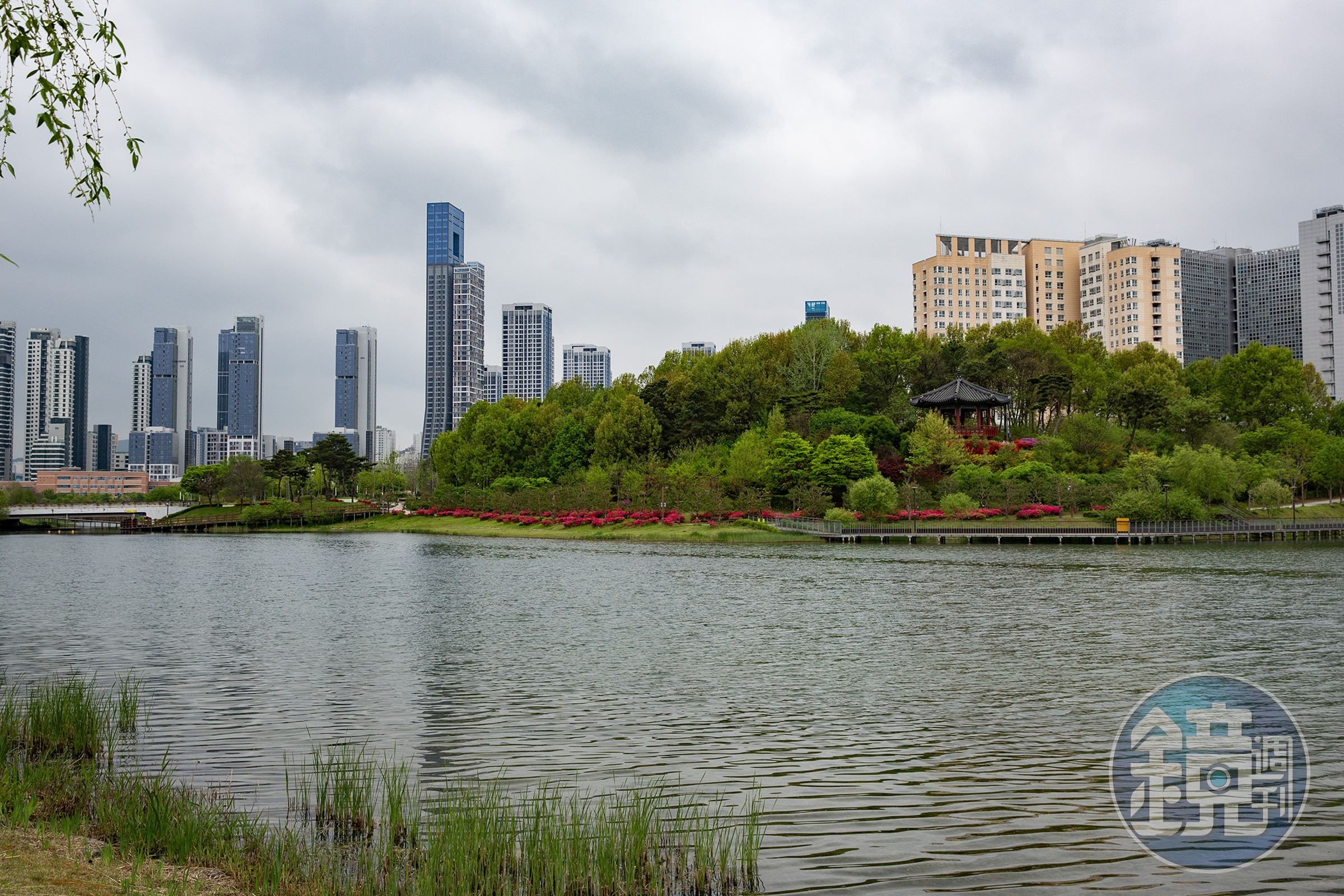 湖面映照現代建築輪廓，勾勒出世宗市獨有的城市天際線。
