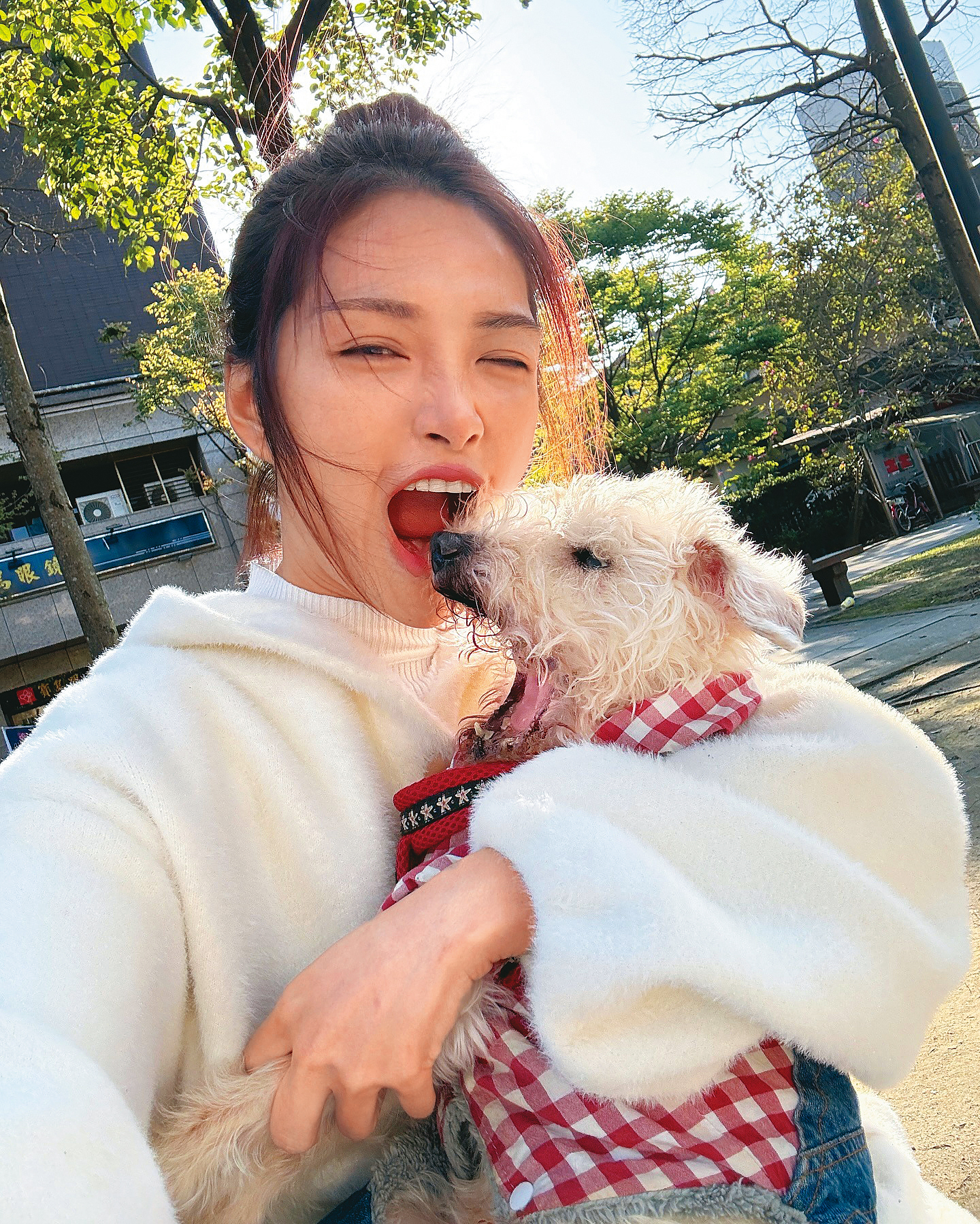 林依彤今年帶著愛犬環島,點點對於陌生環境非常興奮,身體狀況也變得更有活力。(翻攝自林依彤IG)
