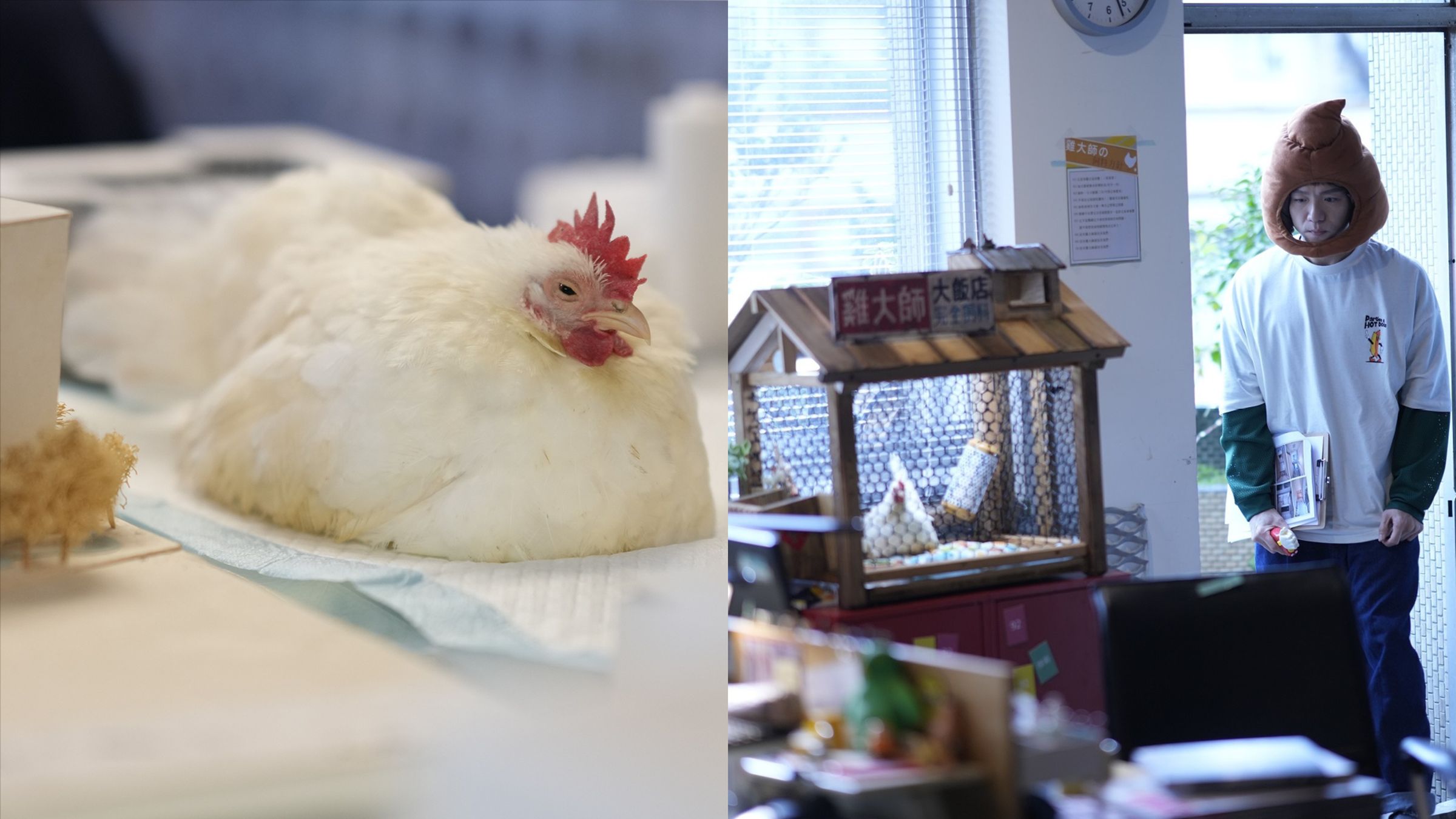 楊祐寧提議在劇中設計師辦公室添加「雞大師」角色,美術組也為其打造一間專屬雞舍。(壹壹影業提供)