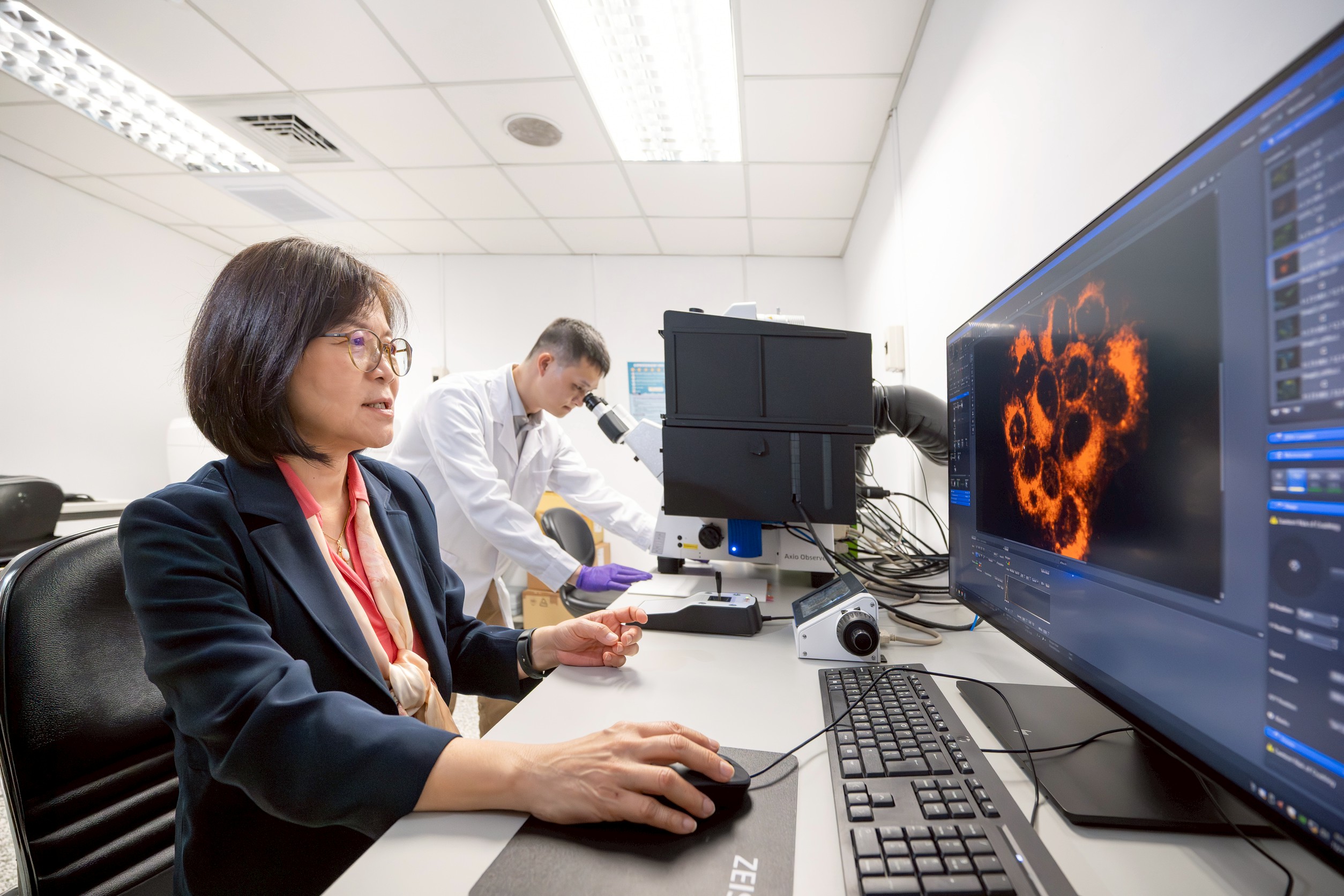 清華大學生科系教授王雯靜（前）與博士後研究員陳粲然提出「GSH–PKM2–SLC7A11」代謝軸線，為誘導癌細胞自我崩解提供新的治療策略。（清華大學提供）