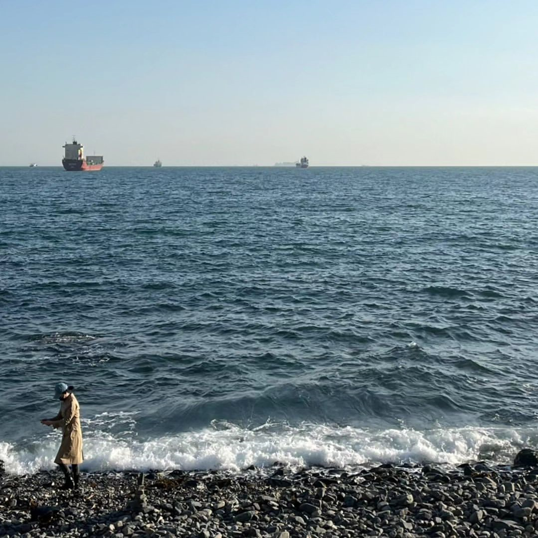 李英愛在海邊踏浪超悠閒。（翻攝李英愛INS）
