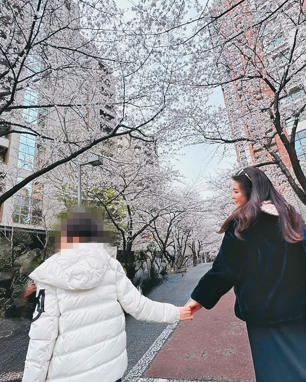麻衣社群上有她帶著兒子賞櫻花的照片（圖），而她回台灣工作時，也不忘為兒子添購他愛的寶可夢玩偶。（翻攝自麻衣IG）