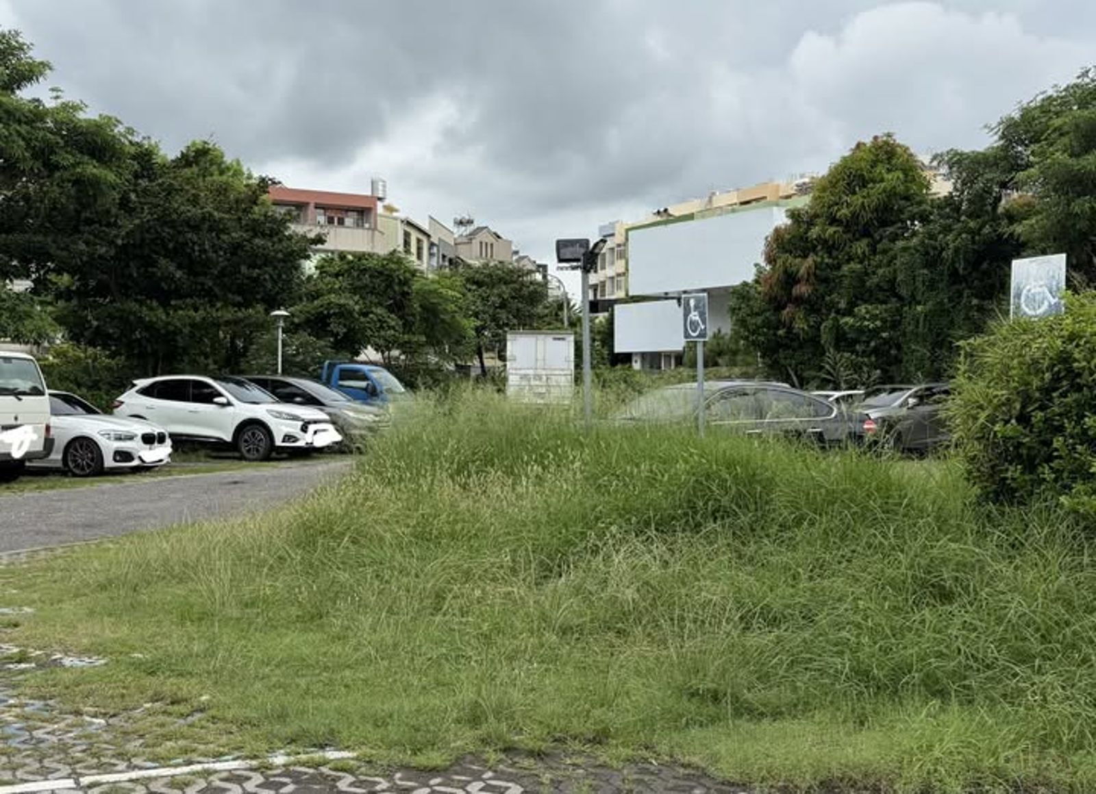 公所扯「鬼月不能除草」!彰化市長親自率隊打草 民俗專家:太長反而更容易卡陰