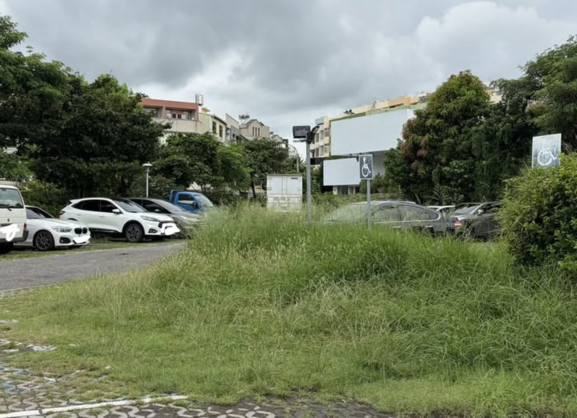 彰化市向陽停車場近期因連日降雨導致雜草叢生，民眾擔心會有蛇類竄入影響安全。（翻攝自臉書吳韋達）