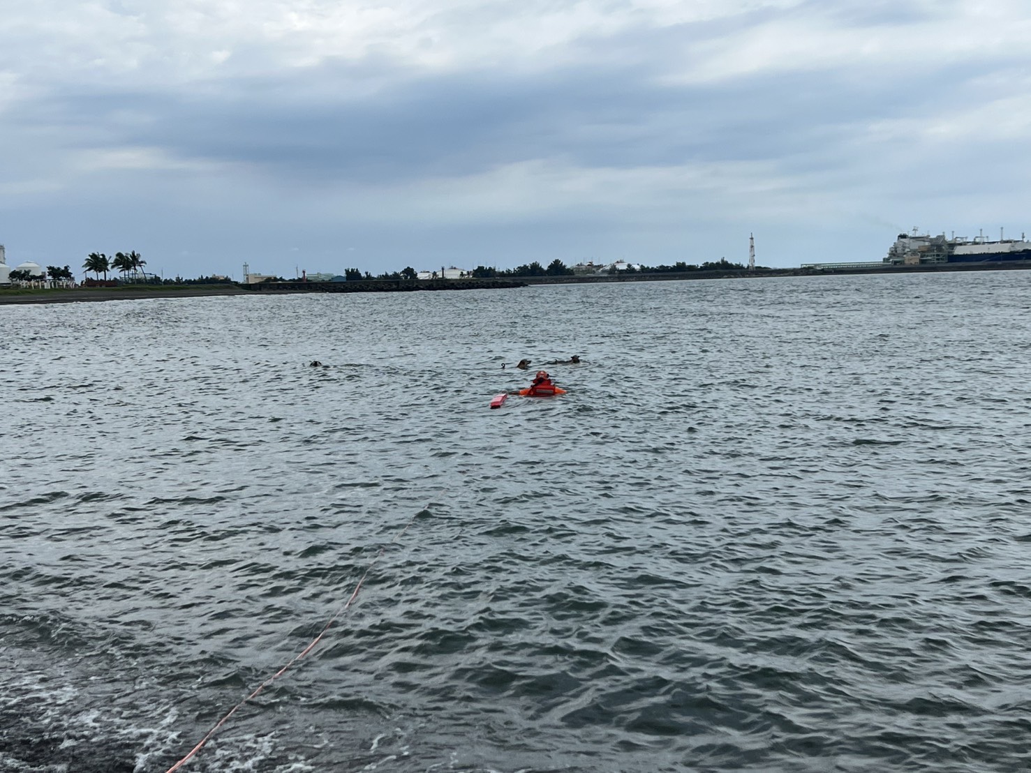 高雄永安鑽石沙灘流浪狗氾濫，一名老翁3日海泳遭到野狗撕咬身亡。（翻攝畫面）