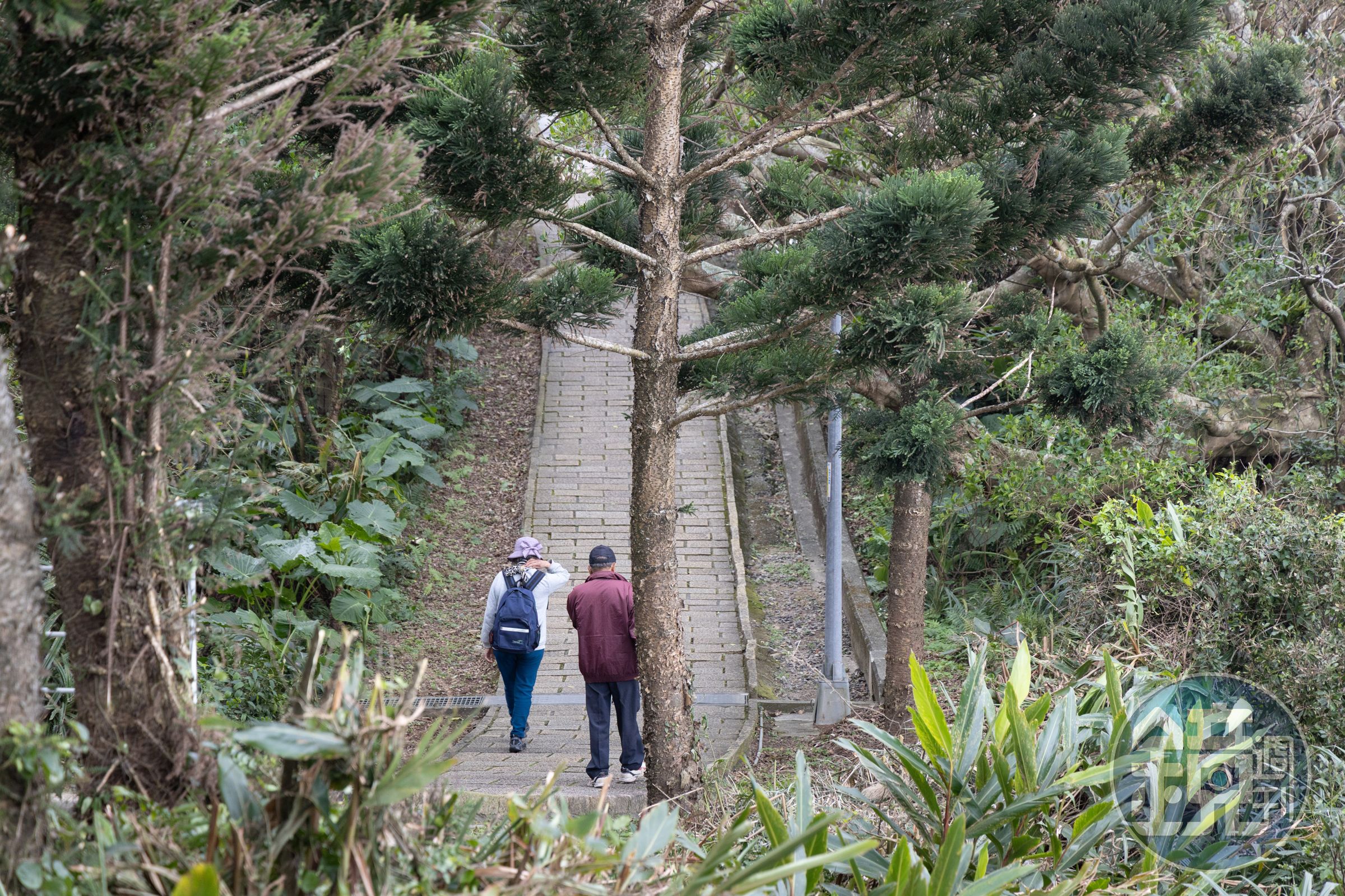 獅頭山公園舊稱「金山中正公園」，因地質景觀獨特，又曾長期列為軍事管制區，保留未受過度開發的自然樣貌，坡度不陡、沿途風光明媚，適合全家大小來一場春節健走。