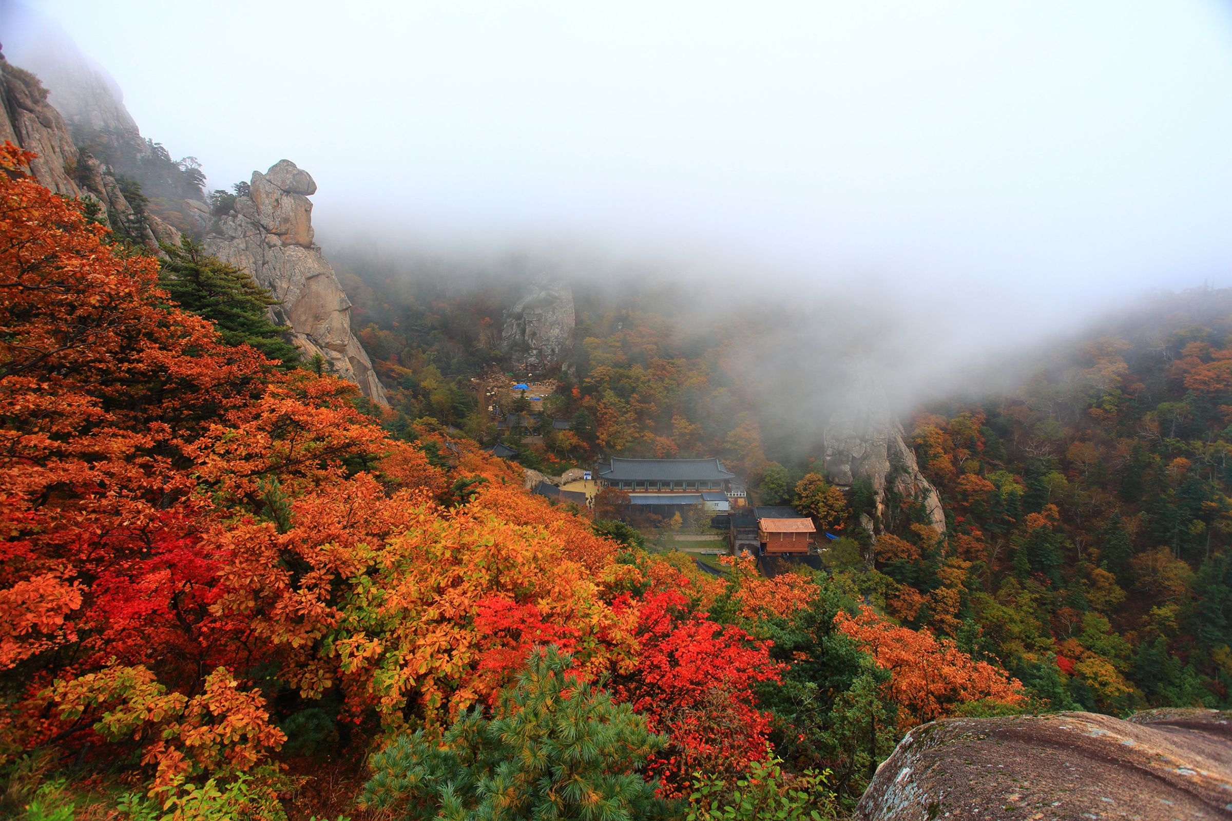 秋天降臨的雪嶽山,被滿開紅葉的絕景包圍。(韓國觀光公社提供)