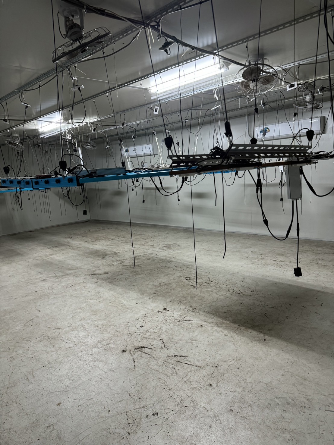 種大麻使用的燈具。（翻攝畫面）