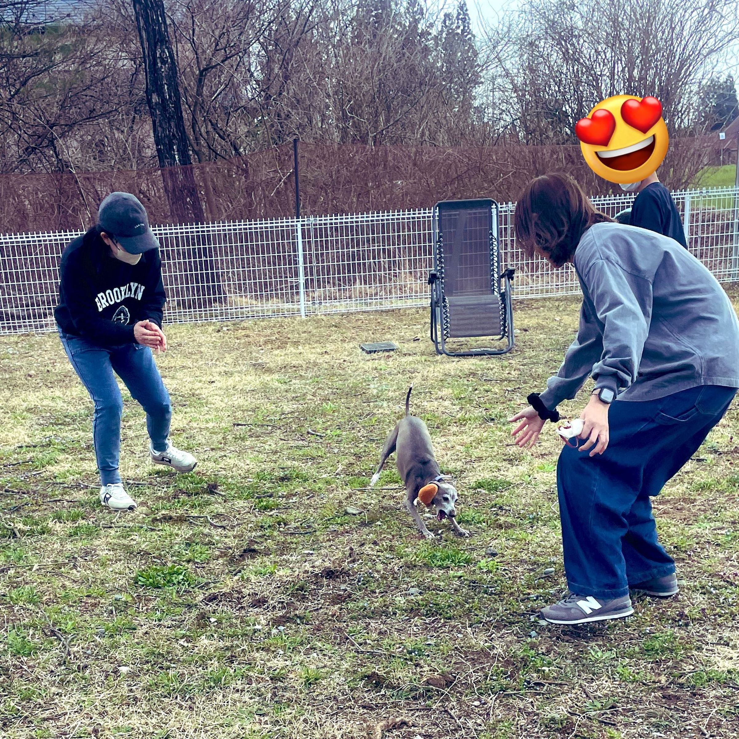 日本栃木縣那須「癒され亭」動物園禁止男性遊客獨自入園,須有親友陪同才能入場。(翻攝自X@nasufureai)
