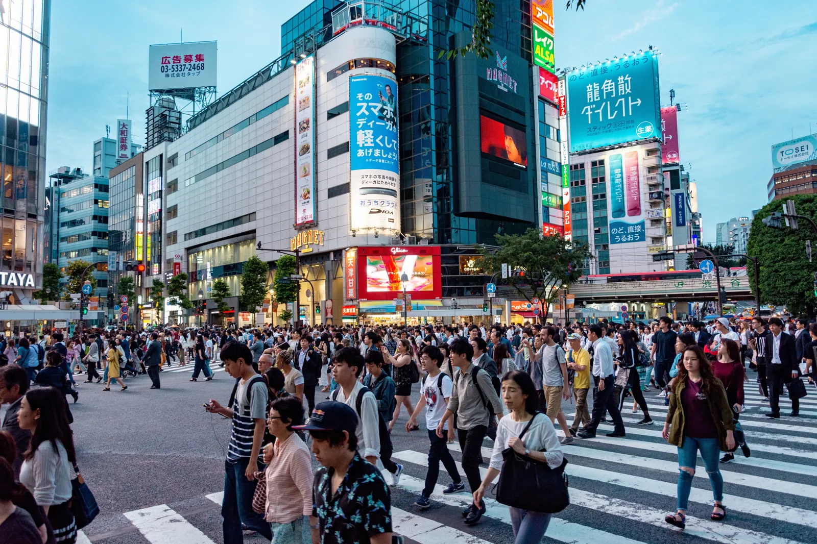 日本退稅新制11月上路! 專家分析「4大系統」:逛Outlet、藥妝、百貨會遇到