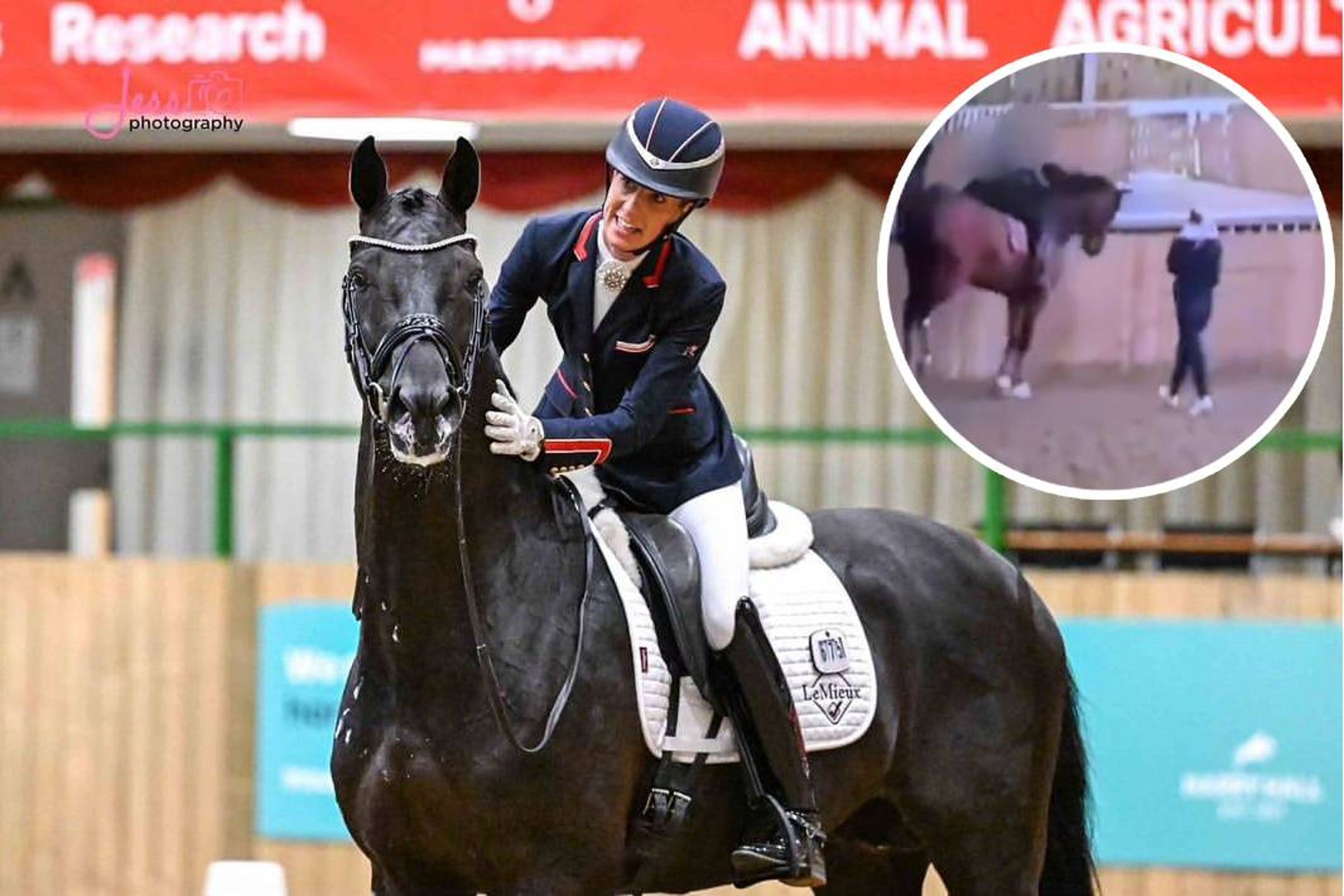 英國3屆奧運馬術金牌好手杜加定,涉嫌虐馬。(翻攝X、IG@charlotte_dujardincbe)