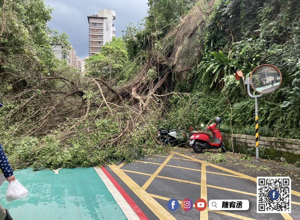 北台灣下午有強烈陣雨，北市內湖因此有山坡路樹倒塌的情況。（翻攝自陳宥丞臉書）