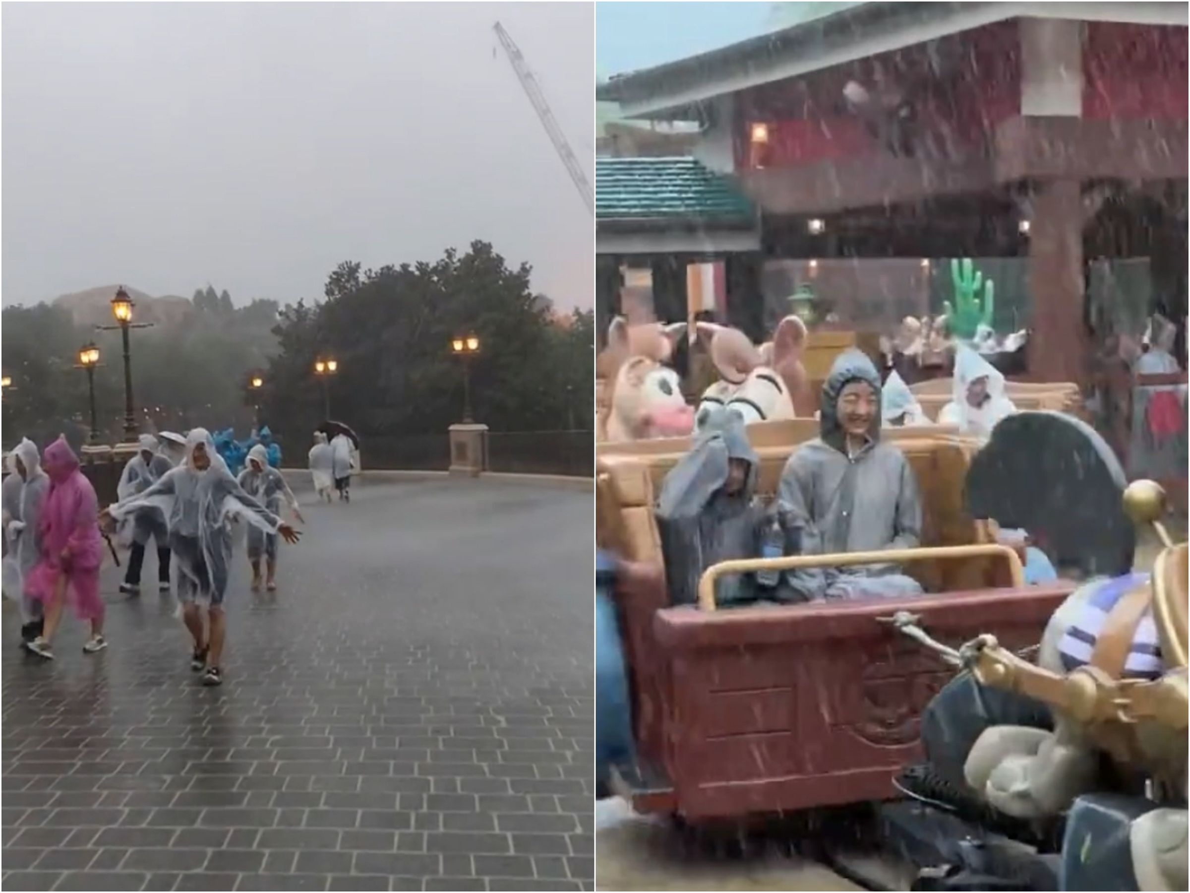 白海豚登陸中國，上海迪士尼「水上樂園」開張。（翻攝微博）