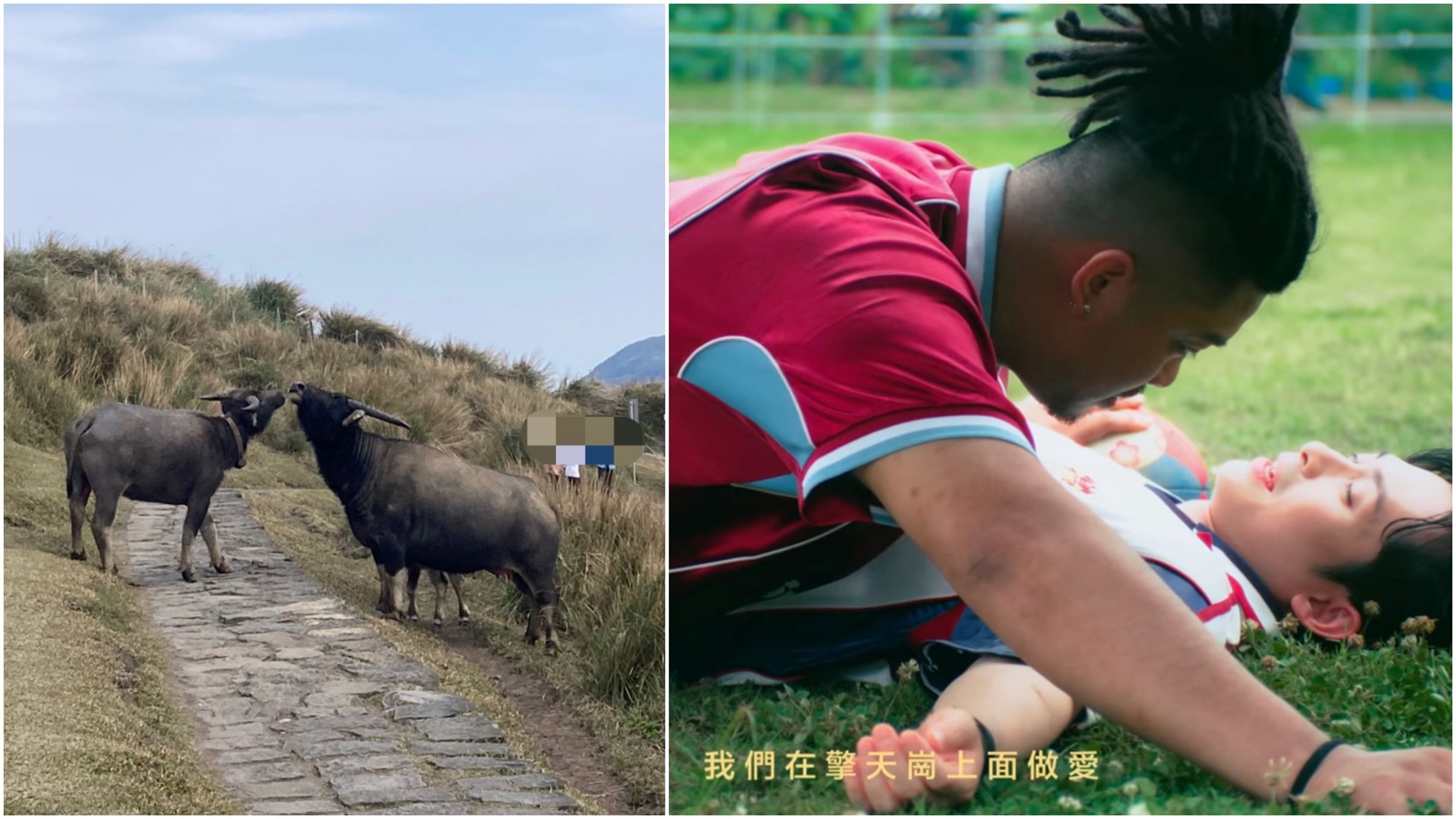 擎天崗情侶草原野戰爆紅，饒舌歌手單曲〈擎天崗愛愛〉被笑說是預言歌曲。（翻攝陽明山國家公園臉書、YT＠6yi7 ）