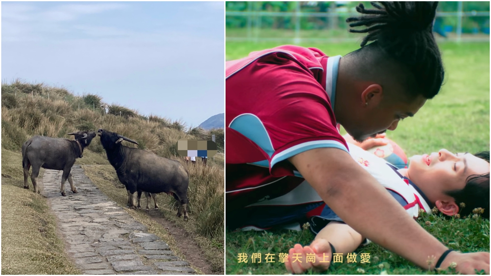 擎天崗情侶草原野戰爆紅,饒舌歌手單曲〈擎天崗愛愛〉被笑說是預言歌曲。(翻攝陽明山國家公園臉書、YT@6yi7 )
