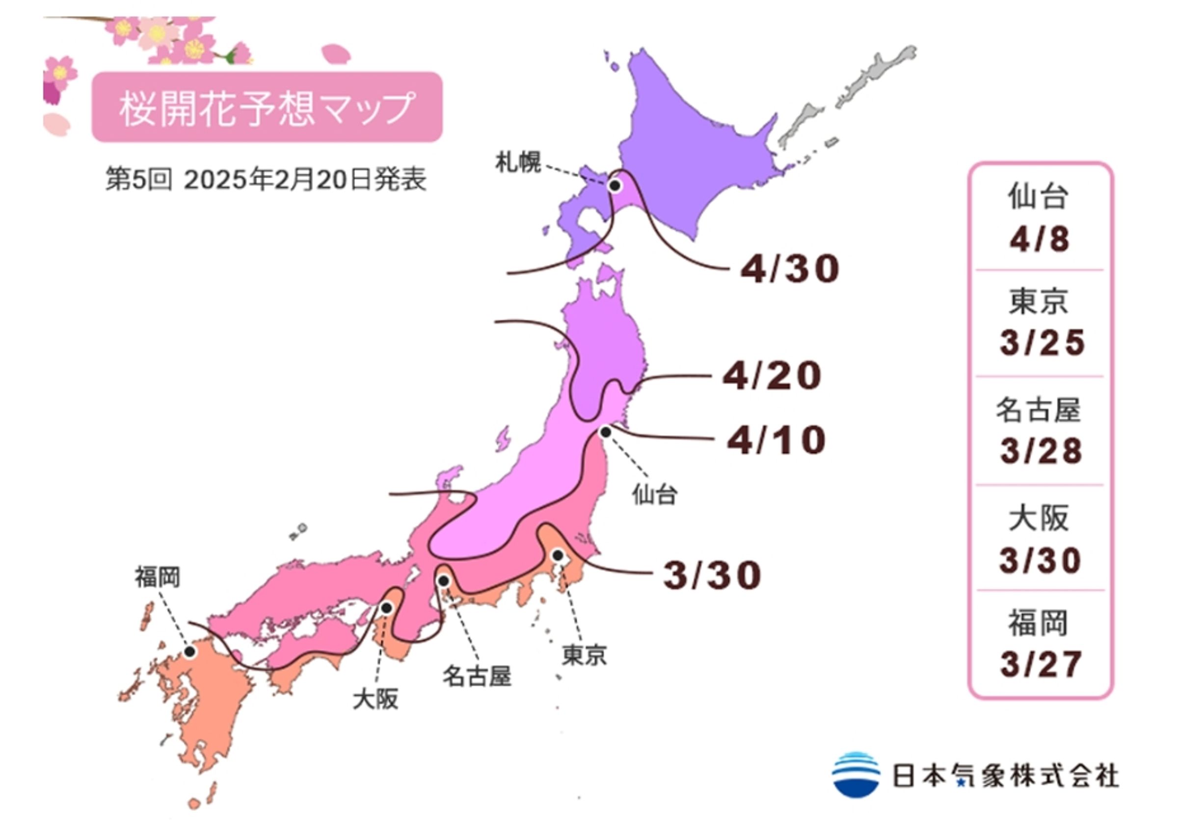 日本氣象株式會社2月20日的最新預測,東京3月25日、大阪3月30日、札幌則是4月30日開花。(翻攝自日本氣象株式會社網站)