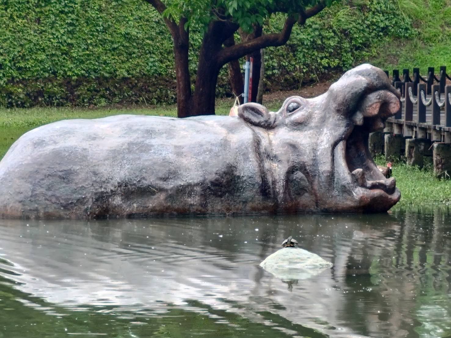 奇美博物館外的藝術品《河馬家族》，當中的大河馬近日竟漂回湖面，消息曝光引發熱議。（翻攝自奇美博物館臉書）