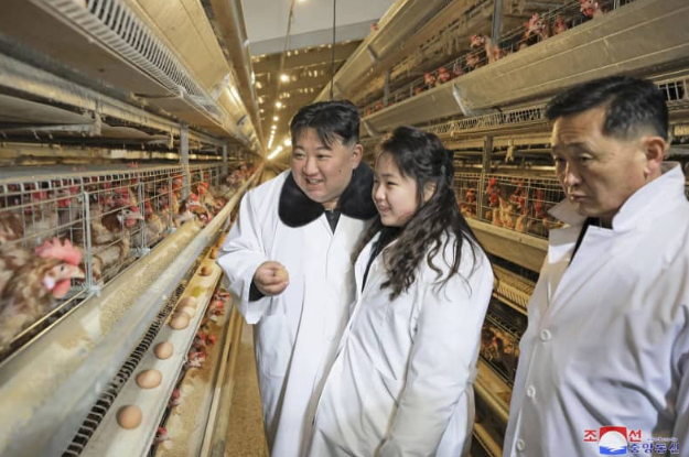 金正恩近日前往黃海北道的「光川養雞場」視察，並帶著女兒金珠愛一起「看雞雞」。（翻自《朝鮮中央通訊》）