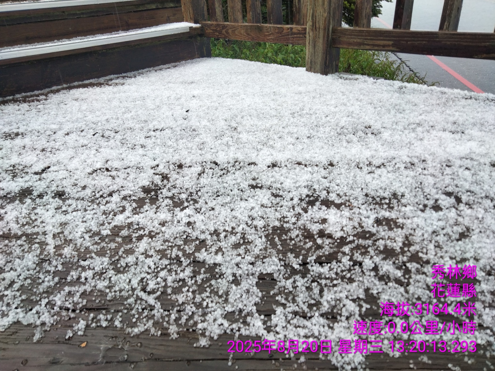 合歡山今日下午下起冰雹，地上一片雪白。（臺灣追雪團 林楓提供）