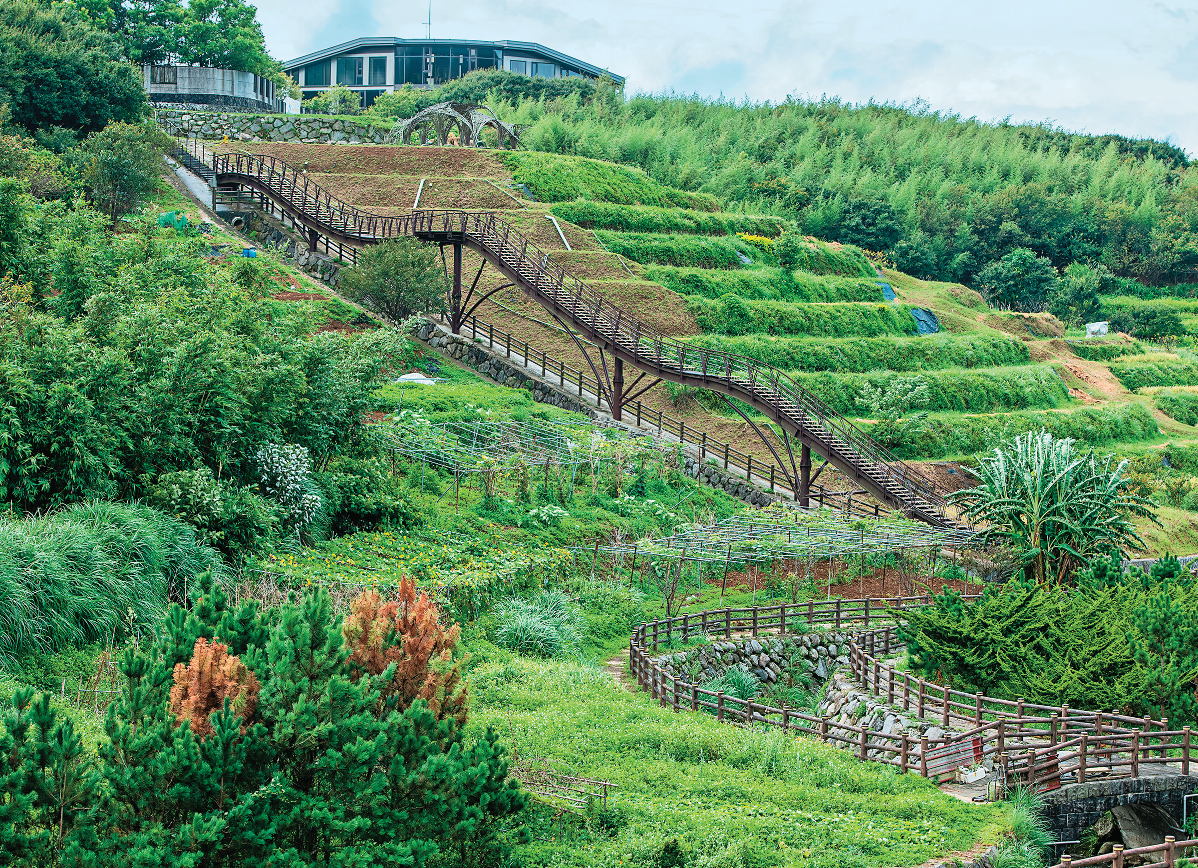 臺北四周淺山環繞,鵝尾山水梯田是臺北極具代表性的里山地景。