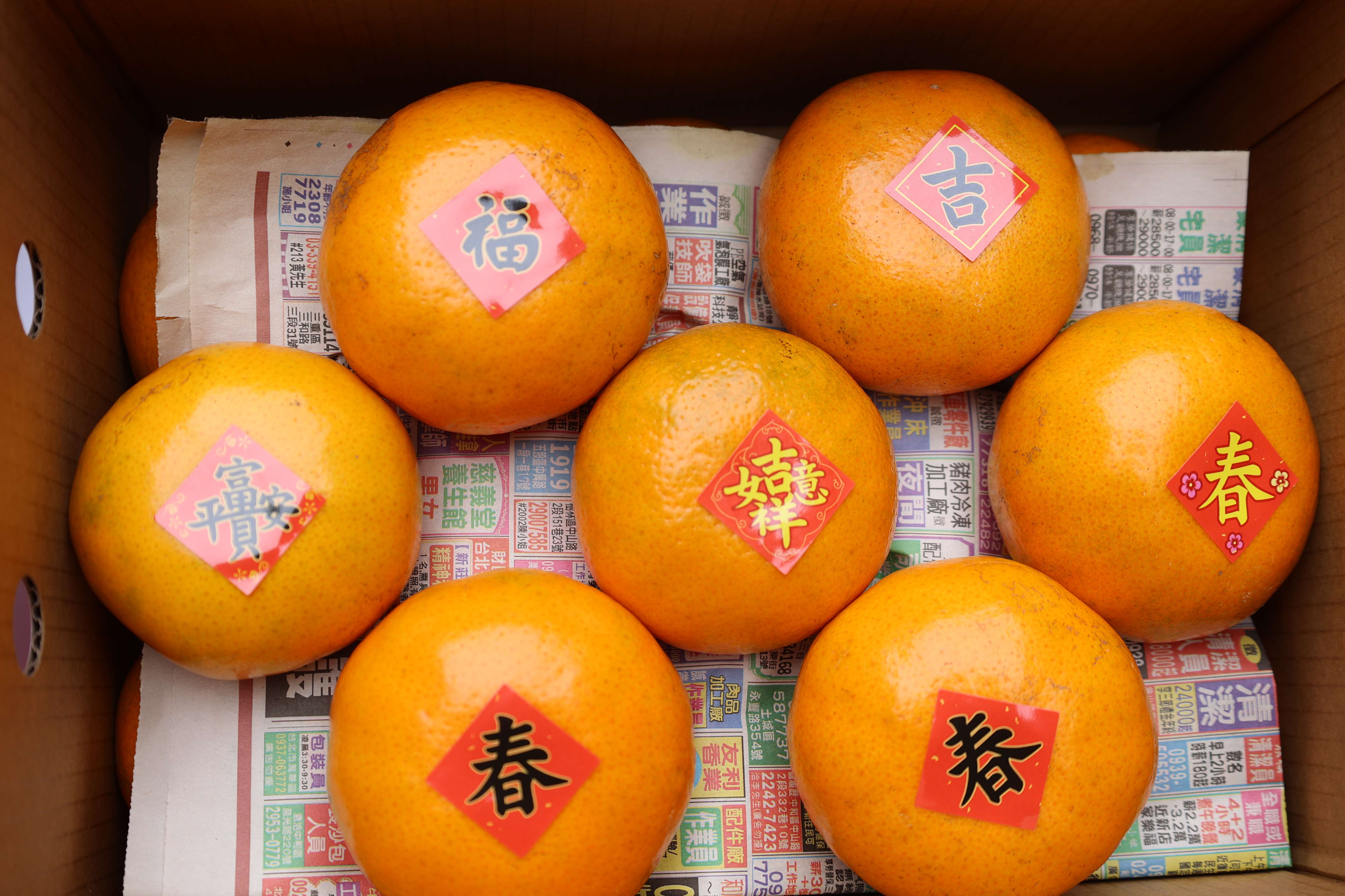 茂谷柑「皮薄爆汁」，是過年相當應景的水果。圖為雲林縣政府先前到立法院推廣茂谷柑。（雲林縣政府提供）