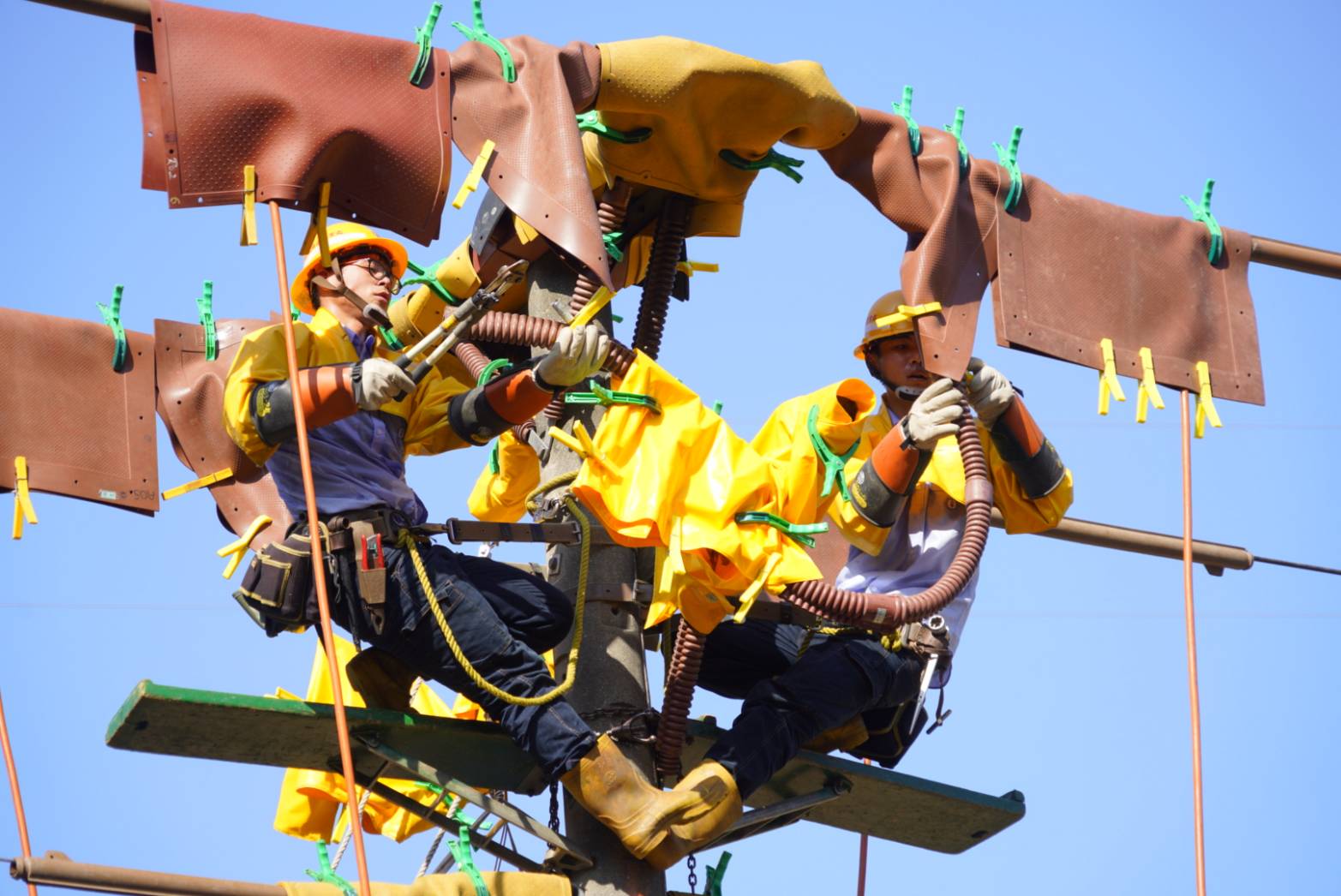 台電2025僱員招考簡章今公告，開出破千名額，1月2日至15日開放報名。（台電提供）