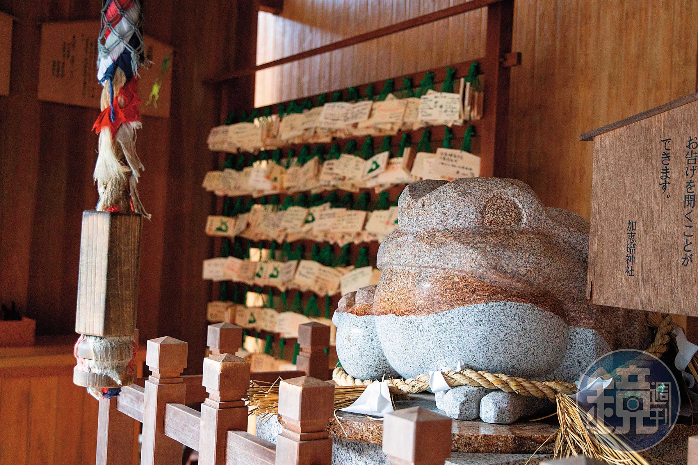 被暱稱為青蛙神社的「加惠瑠神社」，不只供奉的主神是青蛙，甚至繪馬、石燈與洗手處都能見到青蛙蹤影。