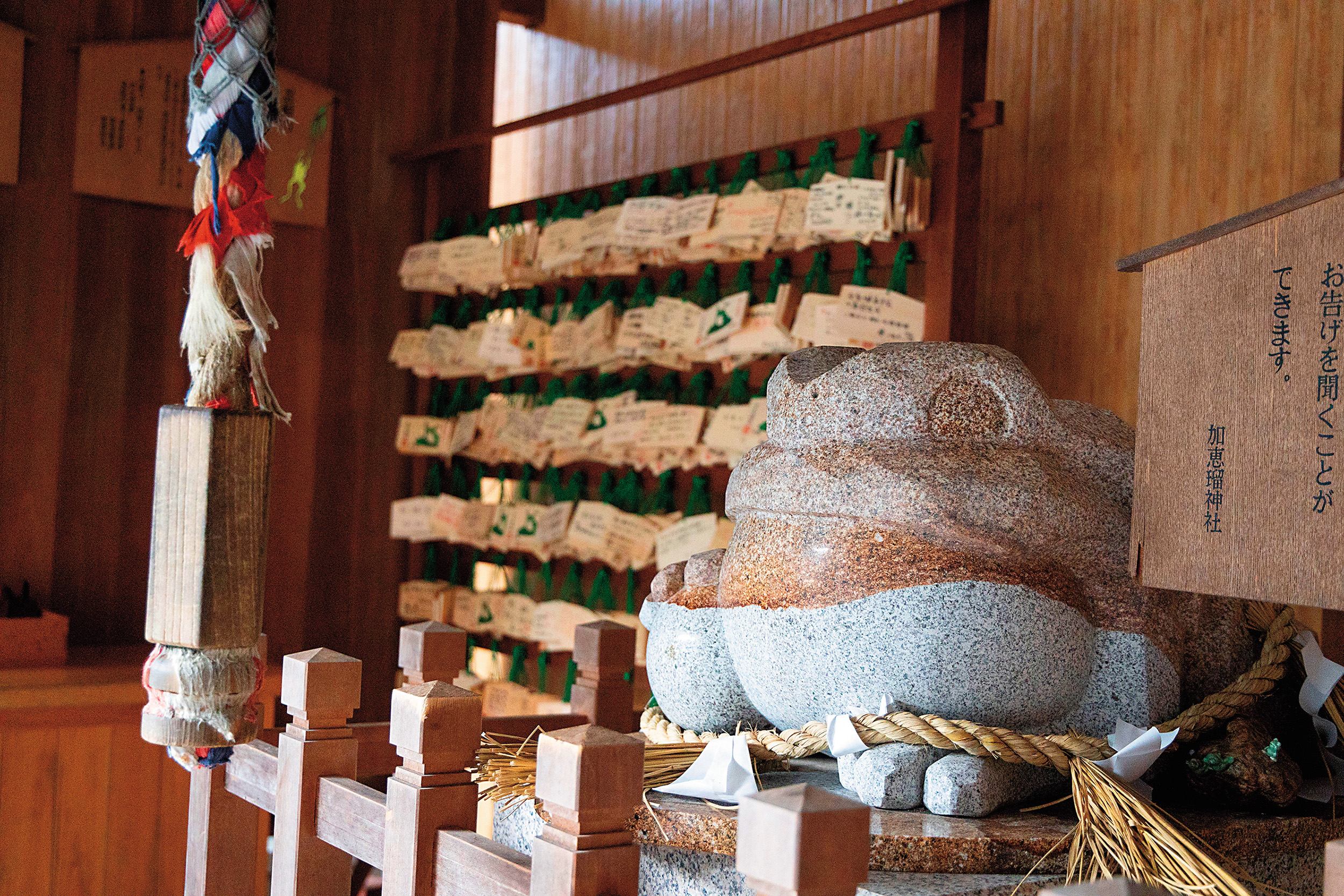 被暱稱為青蛙神社的「加惠瑠神社」，不只供奉的主神是青蛙，甚至繪馬、石燈與洗手處都能見到青蛙蹤影。