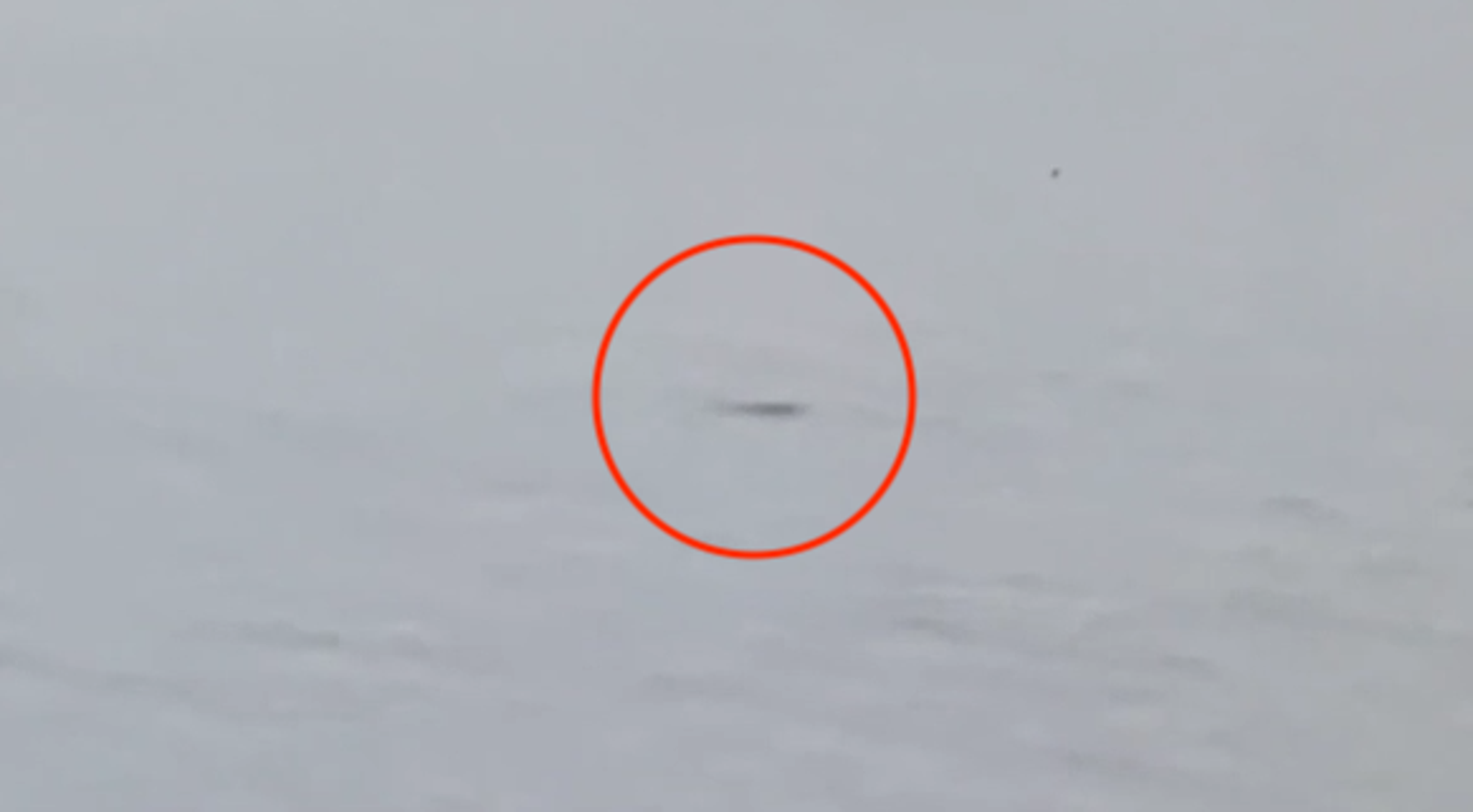 尼斯湖水怪又現蹤!4天內2度目擊 神祕黑影「浮出5秒又消失」