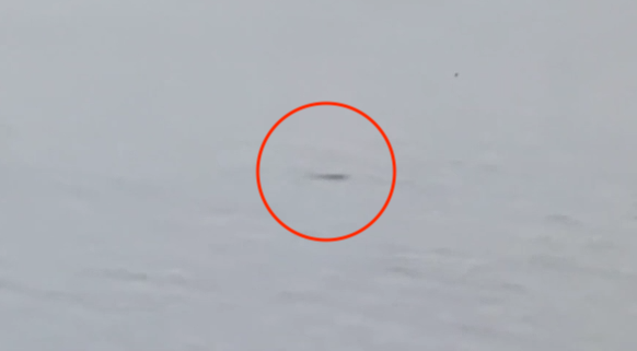 尼斯湖監視器拍到疑似神祕黑影浮出水面。（翻攝畫面）
