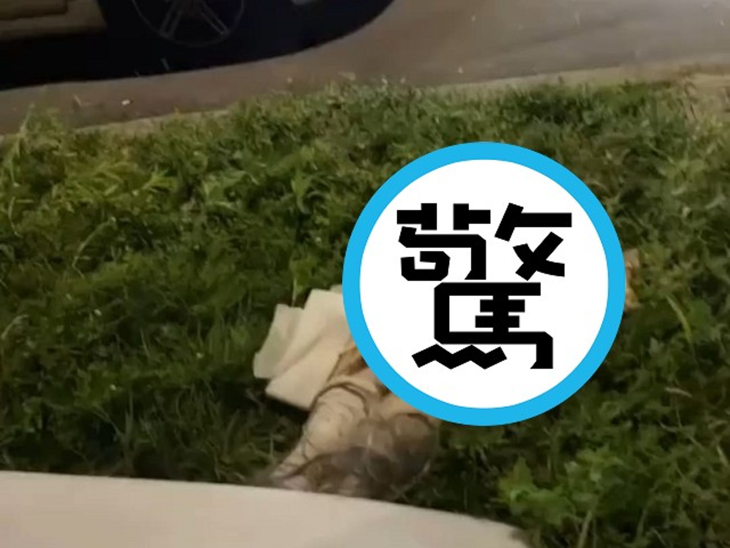 又有「正妹」被操壞，慘遭性侵斬首殺害？大半夜真的不要嚇人。（翻自微博）