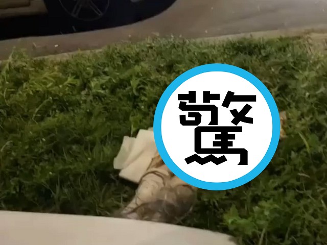 又有「正妹」被操壞，慘遭性侵斬首殺害？大半夜真的不要嚇人。（翻自微博）