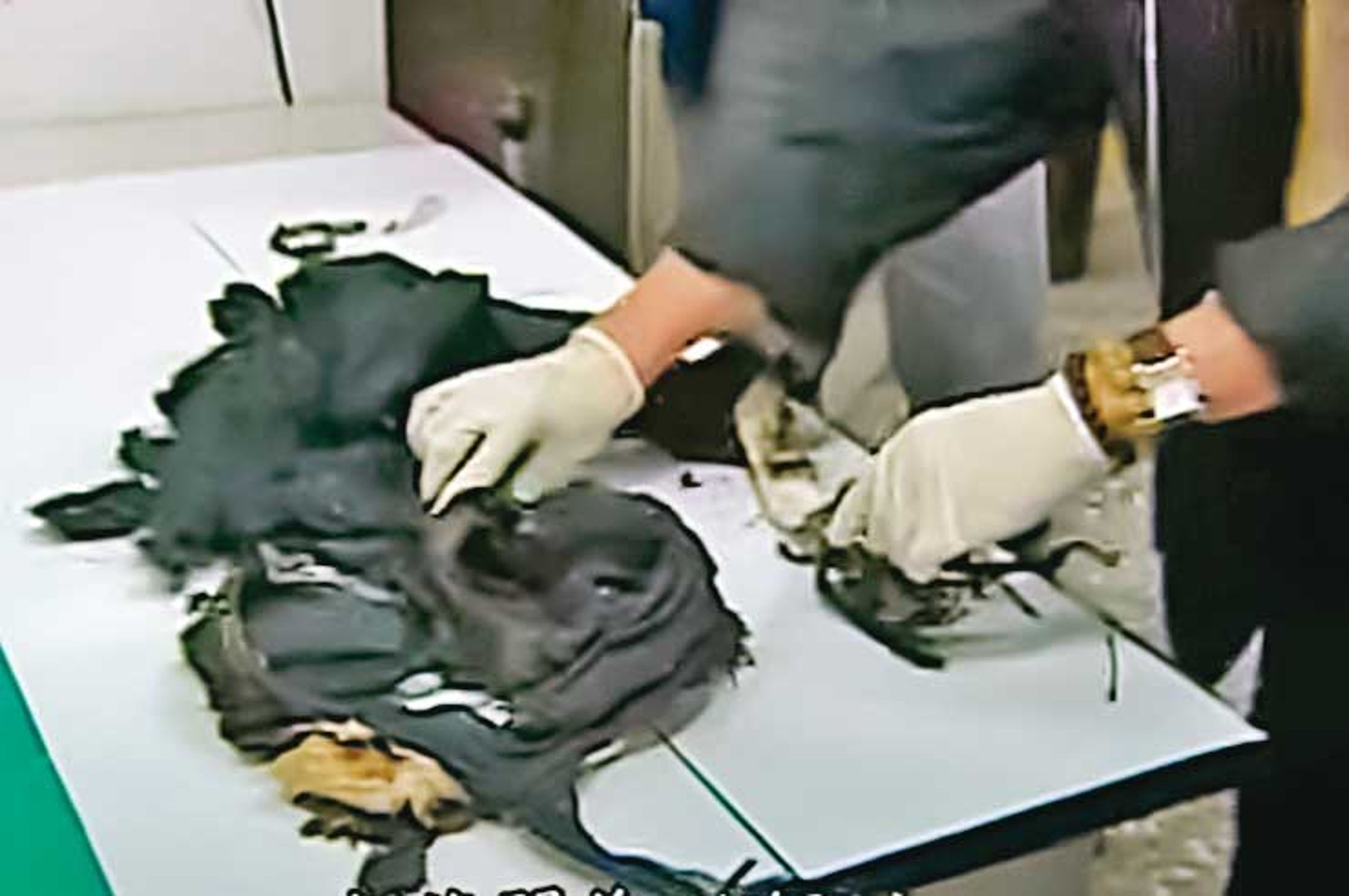 凶手重擊被害人頭部後焚屍,警方在現場發現遭焚毀的衣物。(東森新聞提供)