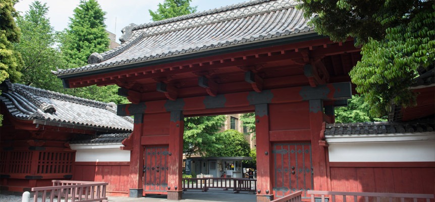 抗日是口號？東京大學「20%是中國學生」，畢業後留日工作人口變多。（翻自東京大學官網）