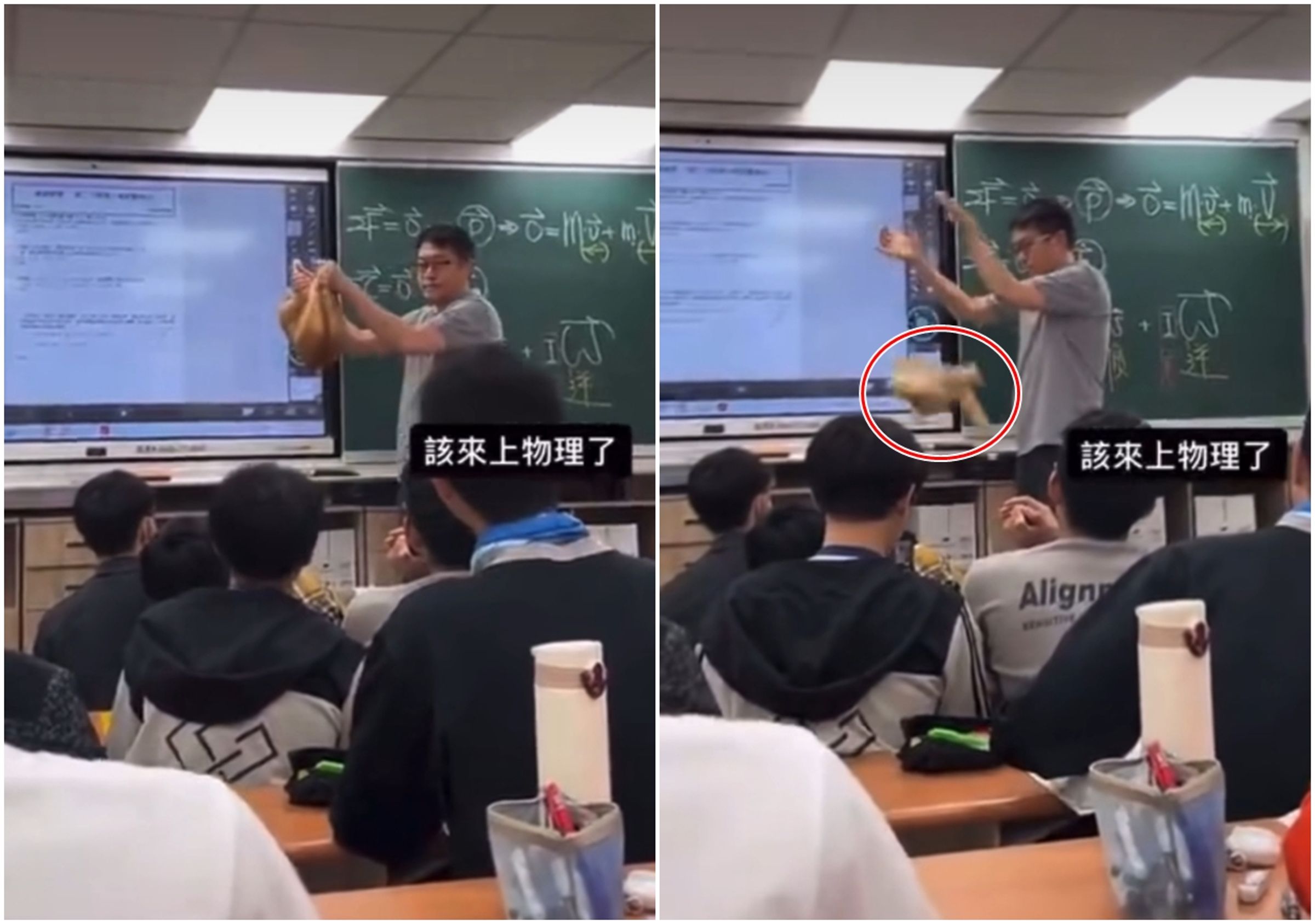 有位補教老師在上物理課時，將一隻貓抓來「實驗」，引起眾人撻伐。（翻攝自貓咪也瘋狂俱樂部 CrazyCat club）