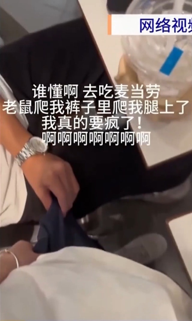 噁爆!廣州女吃麥當勞,老鼠鑽進她褲內往下體方向爬。(翻自《香港01》)