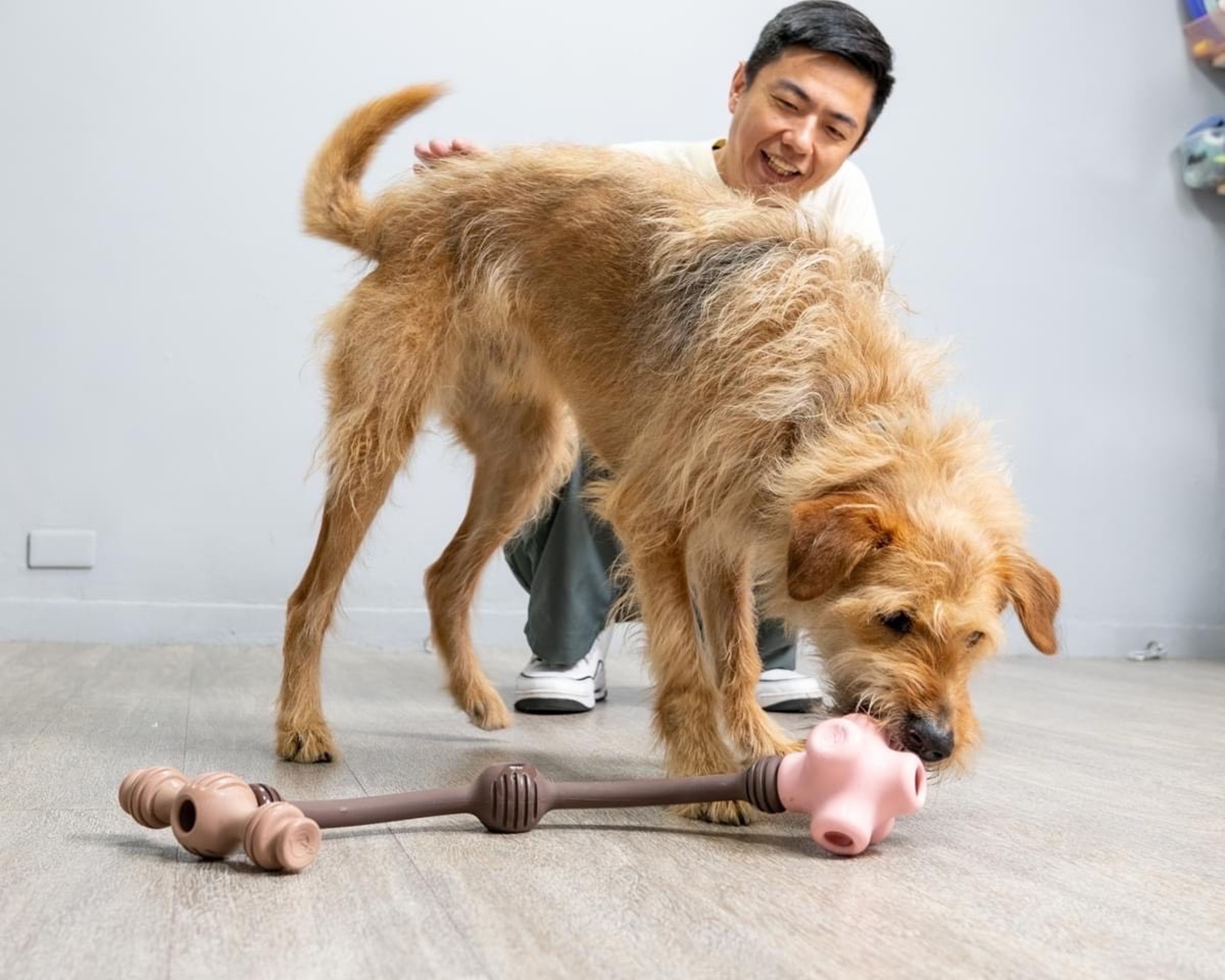 熊爸與愛犬熊三很受粉絲歡迎,兩人還上演護食與玩具的互動。(翻攝熊爸臉書)
