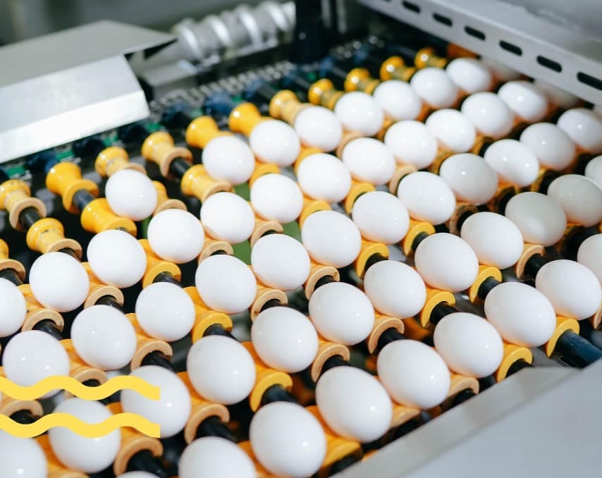 大武山牧場科技決定斥資3.825億元取得福記公司過半股權，正式跨入食品加工服務。（翻攝自臉書＠大武山）