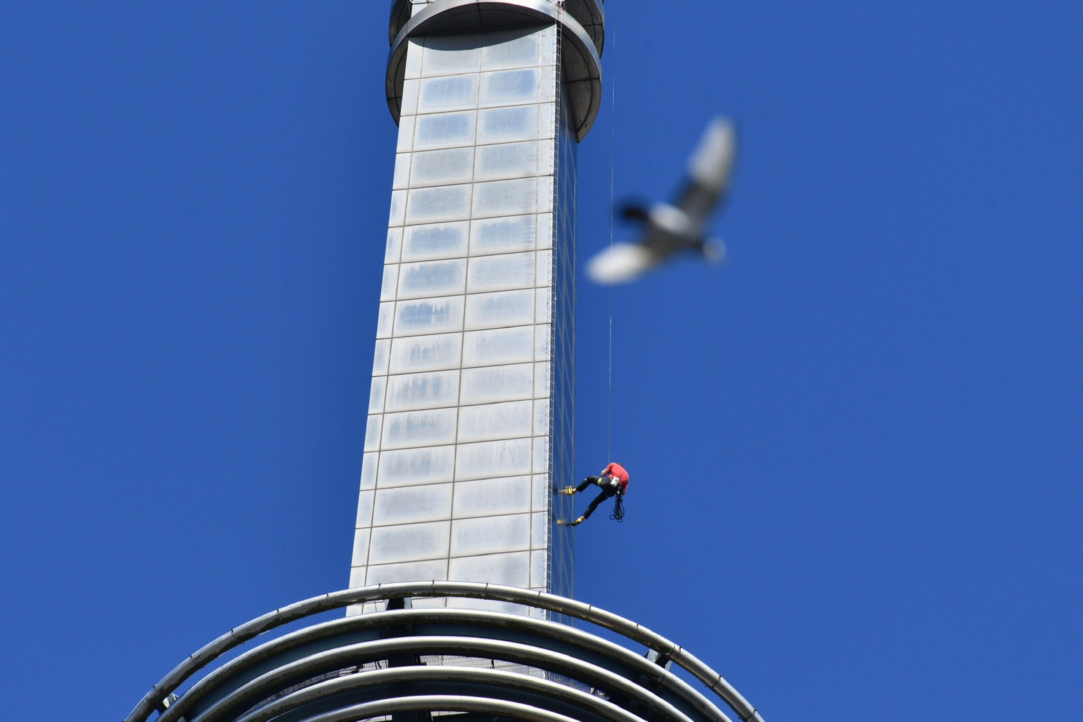 霍諾德挑戰前後，社群平台Threads出現大量討論，部分網友事前預測失敗的發言被重新翻出。（鏡報攝影組攝）