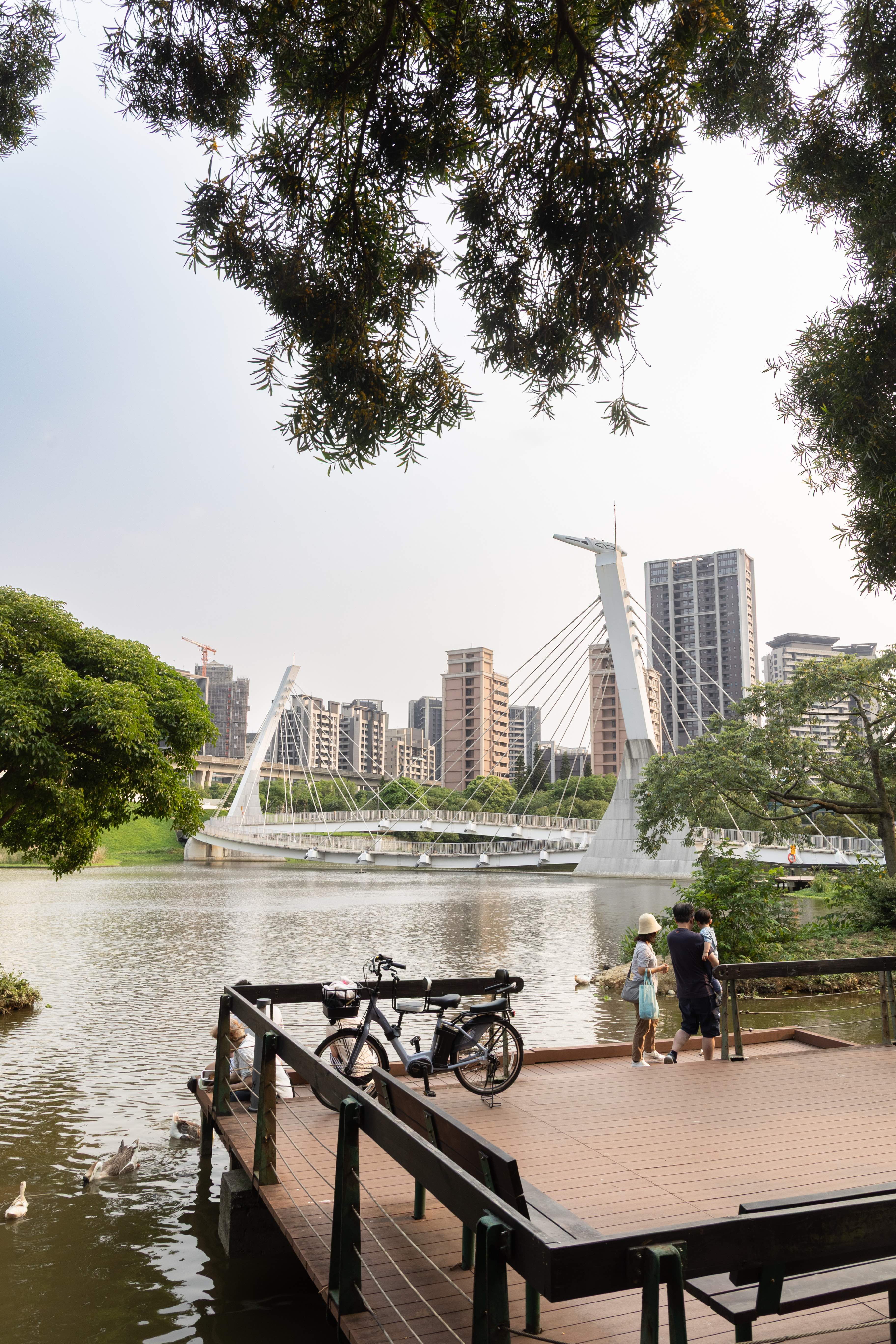 園內有木棧道與景觀橋，鵝鴨悠遊水面，是城市裡散步休憩的好地方 。