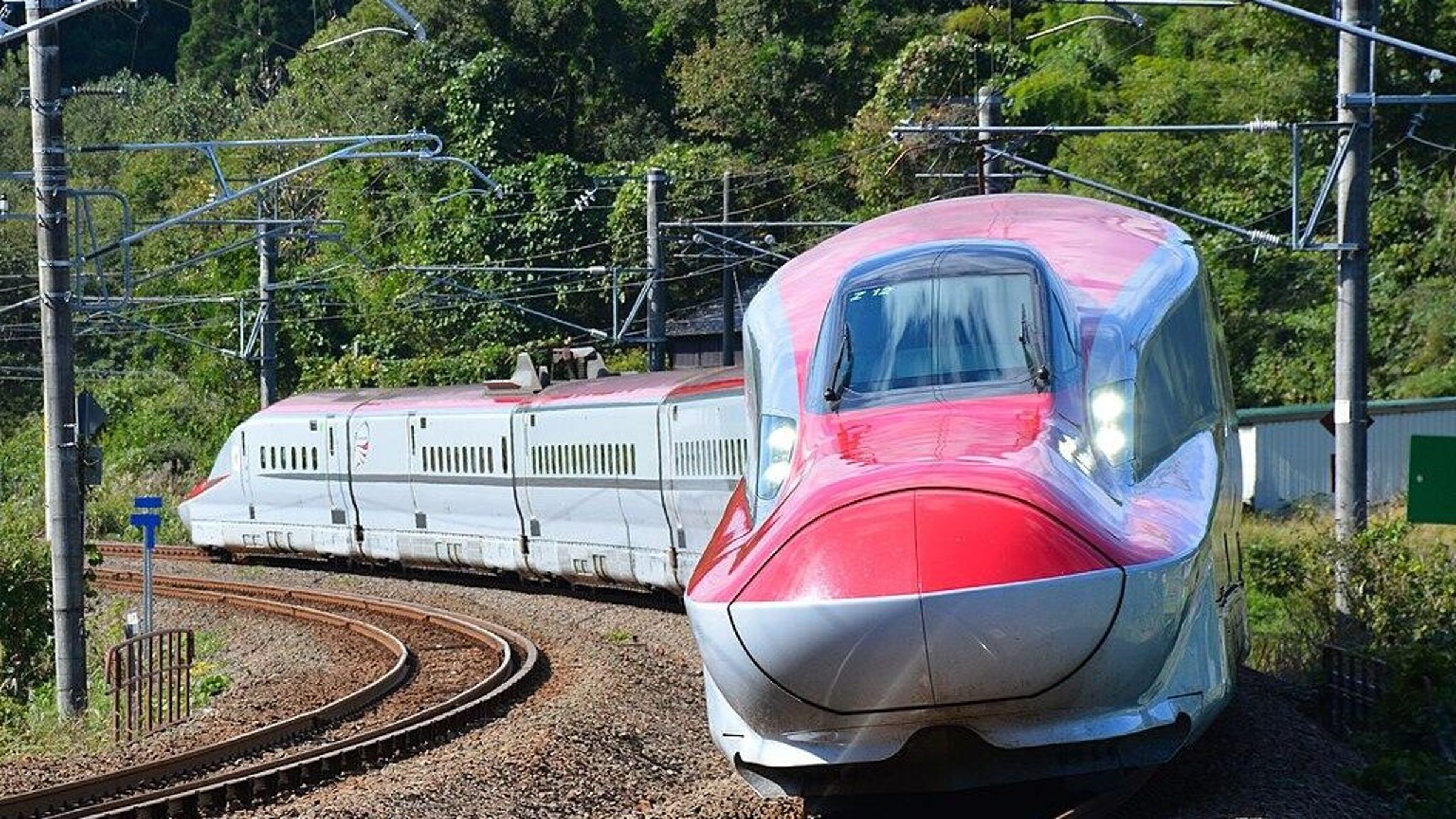 日本一輛從山形開往東京的山形新幹線，駕駛員煞停不及撞上熊。（翻攝自X@sputnik_jp）