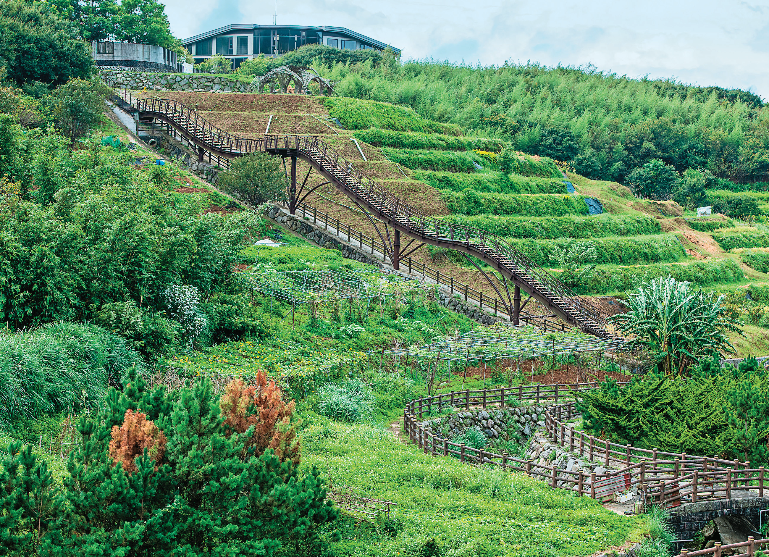 鵝尾山水梯田是台北市極具代表性的里山農村地景。